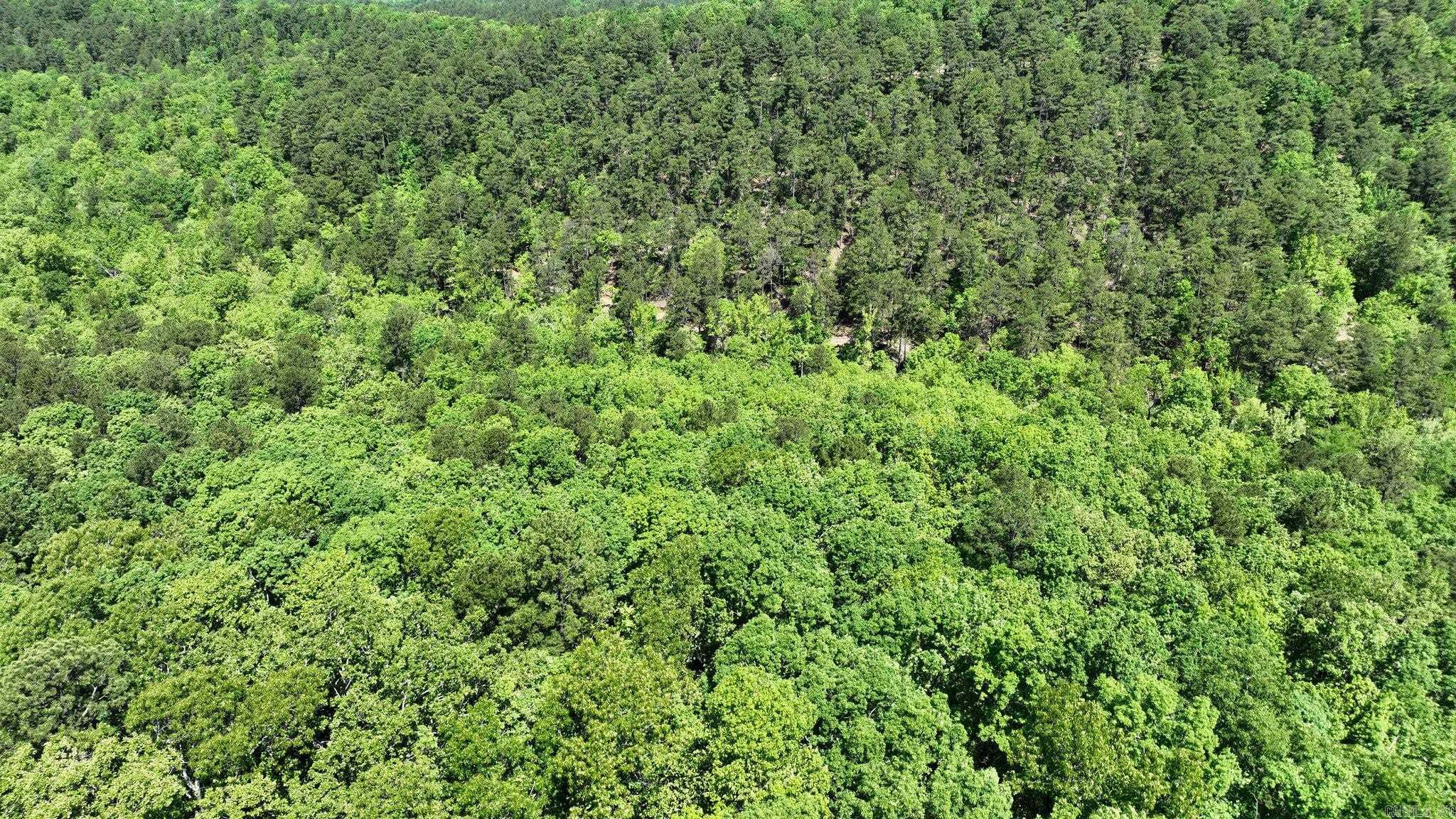 TBD (Lot 1)  Heather Lane  Mena, AR