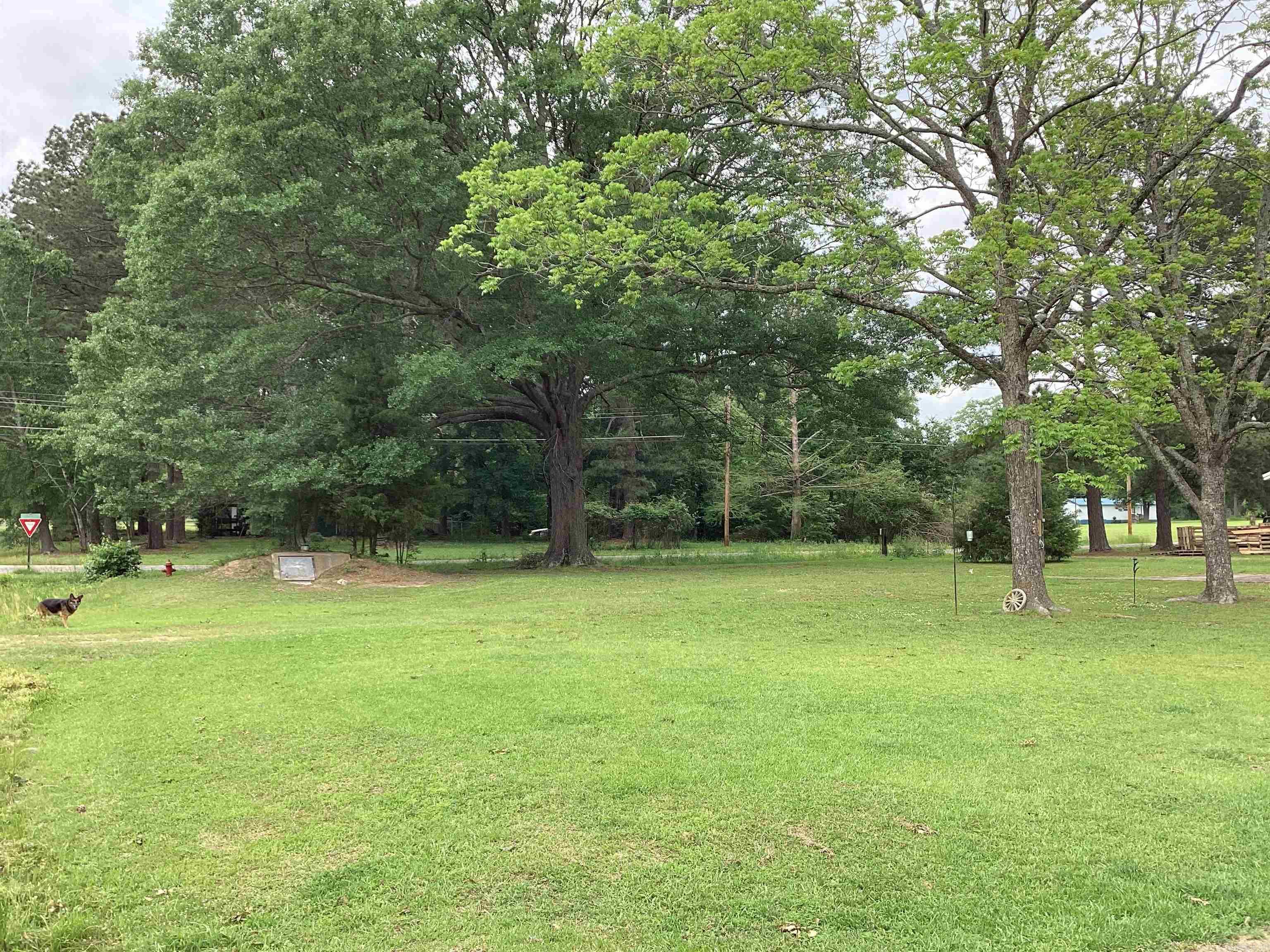 146  Booker St  Emmet, AR