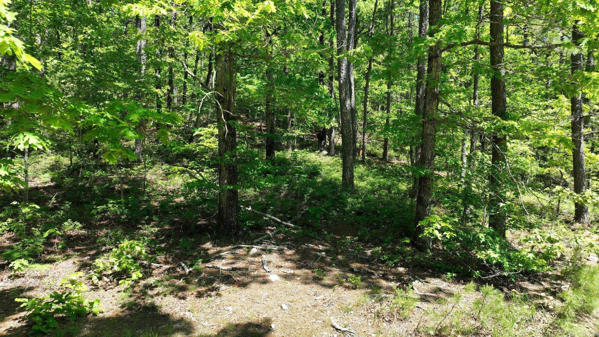 TBD (Lot 5)  Heather Lane  Mena, AR