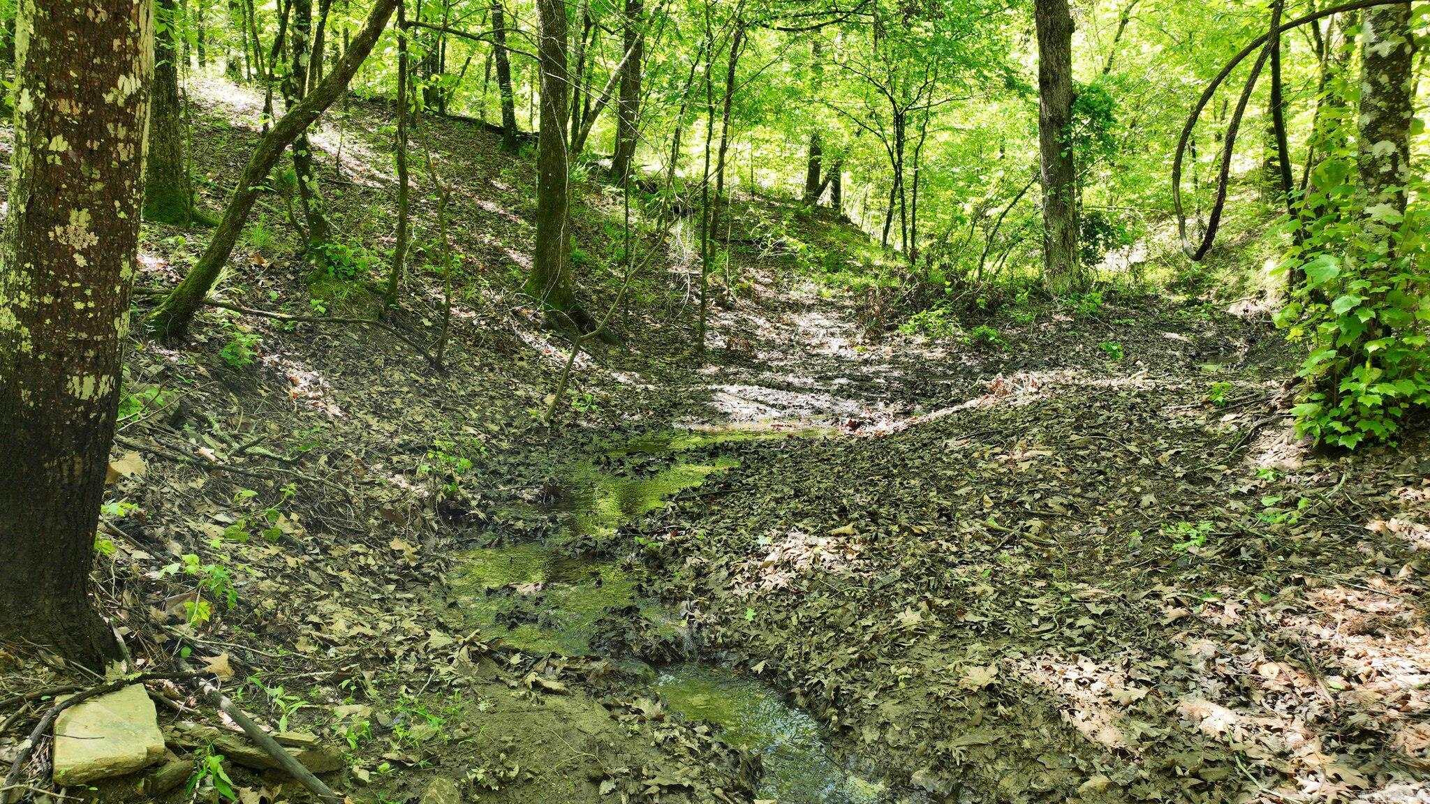TBD (Lot 5)  Heather Lane  Mena, AR