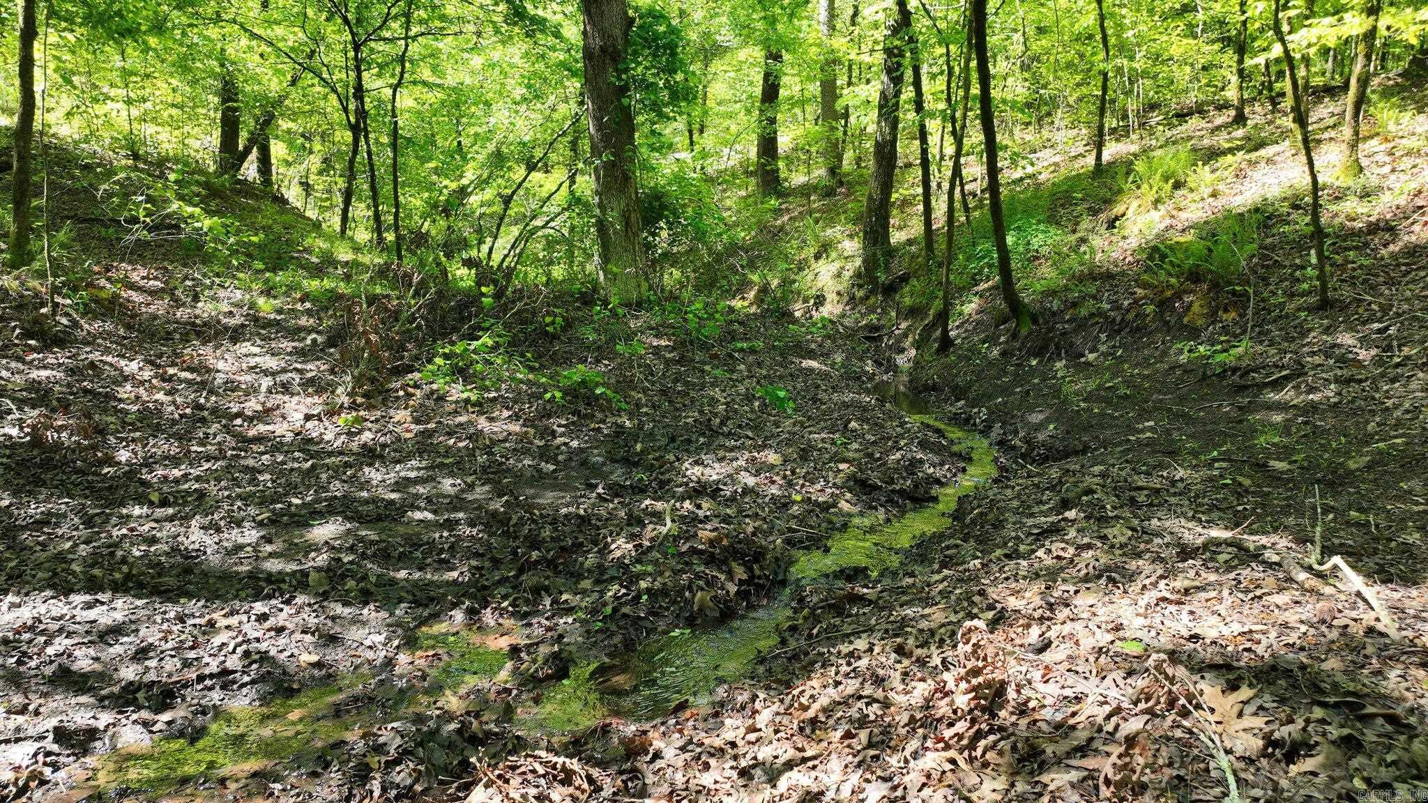 TBD (Lot 5)  Heather Lane  Mena, AR