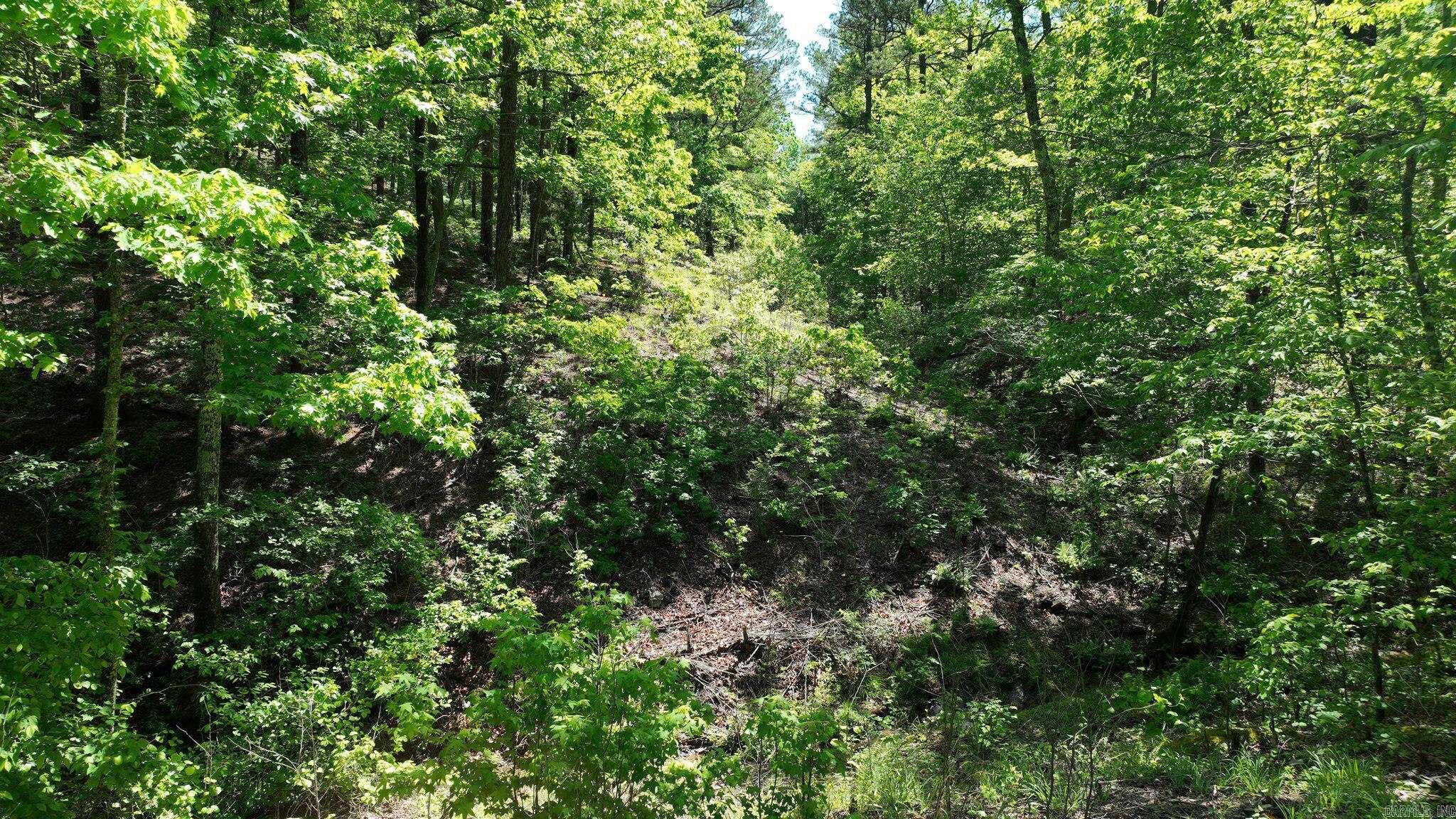 TBD (Lot 5)  Heather Lane  Mena, AR