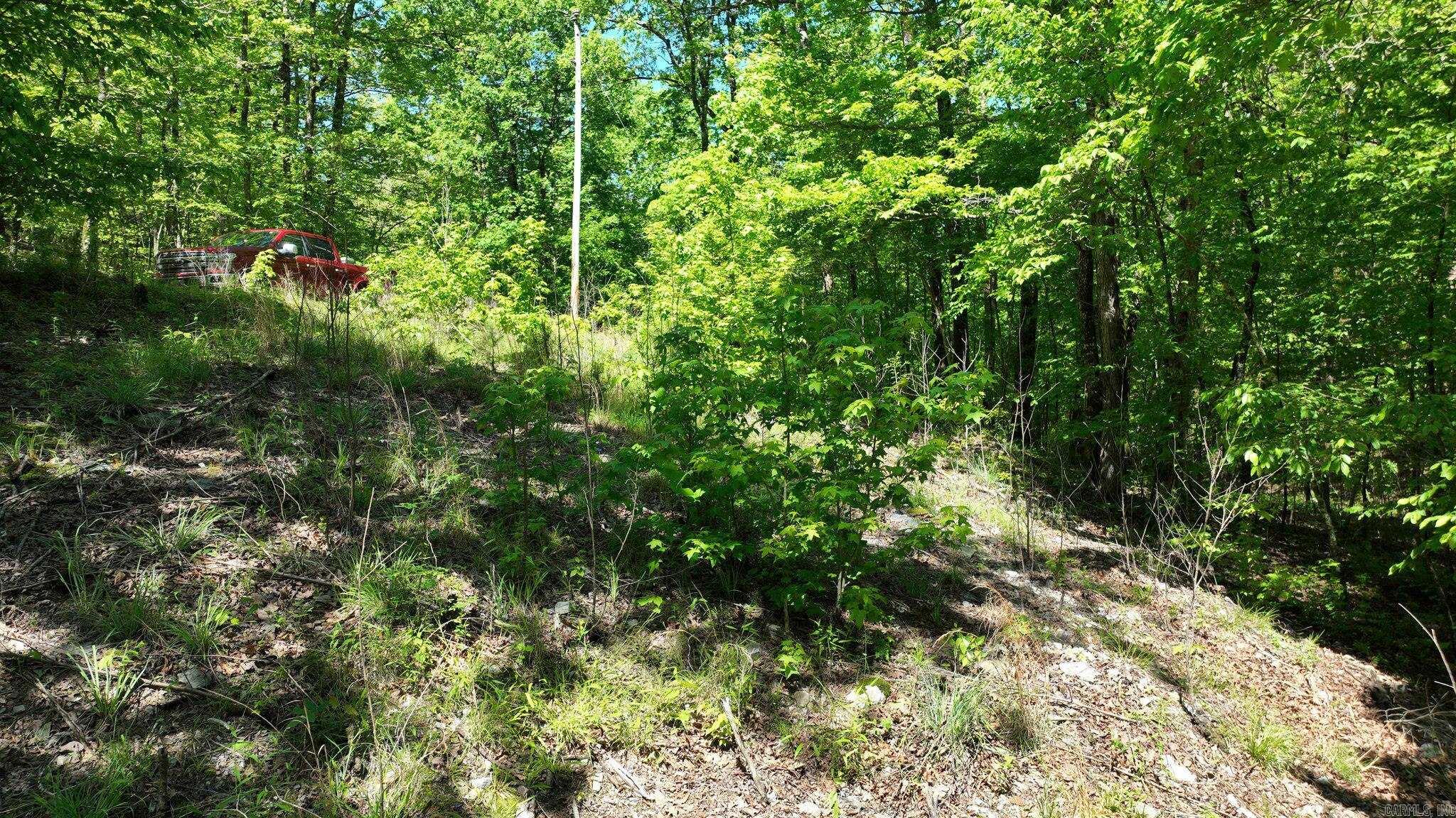 TBD (Lot 5)  Heather Lane  Mena, AR
