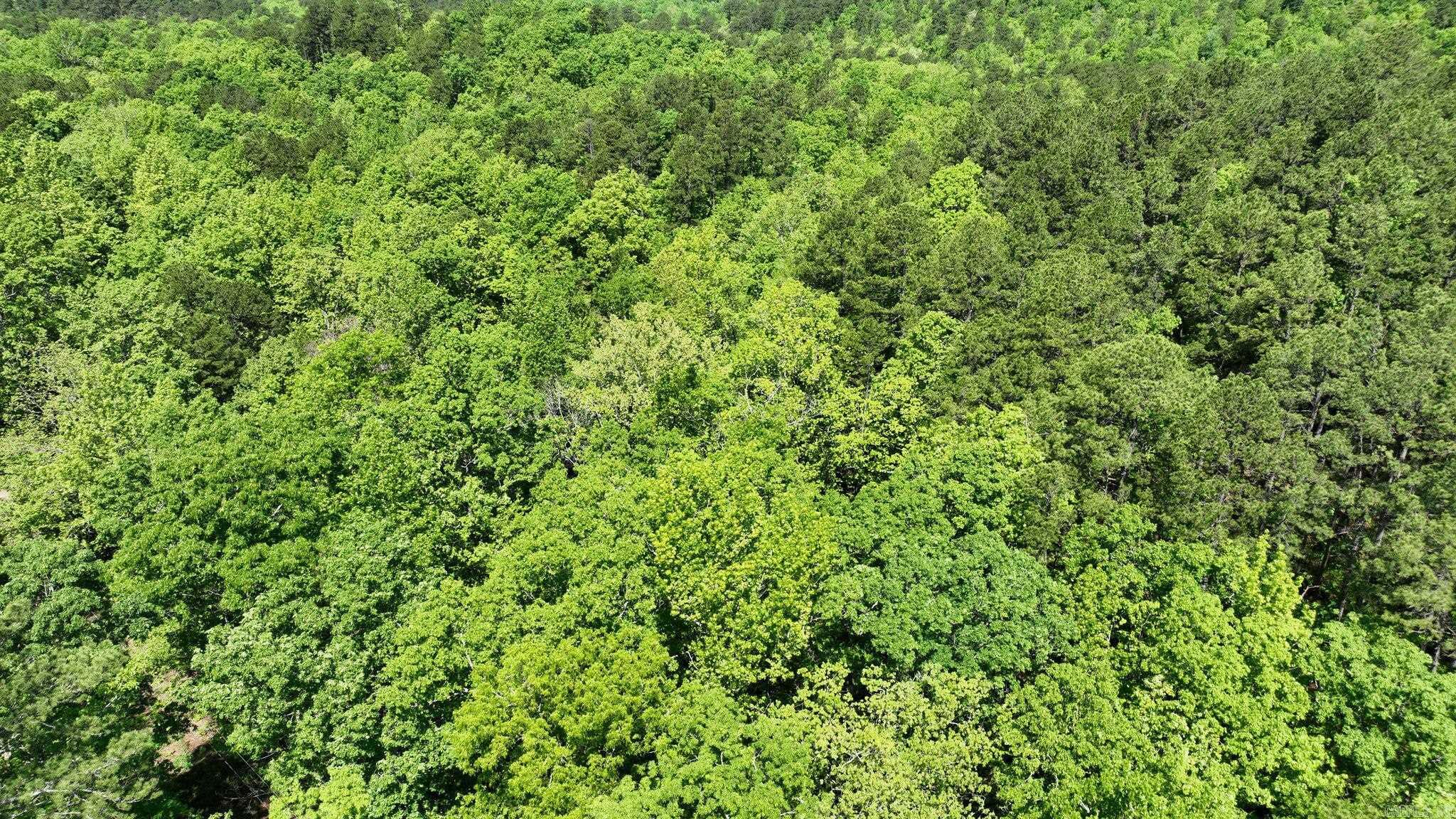 TBD (Lot 5)  Heather Lane  Mena, AR