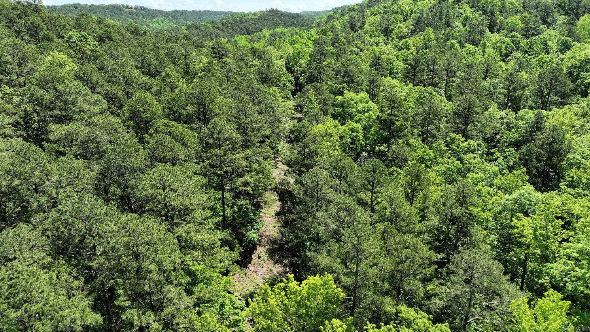TBD (Lot 5)  Heather Lane  Mena, AR