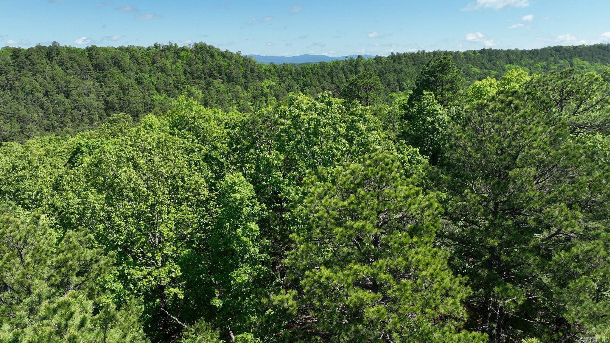TBD (Lot 5)  Heather Lane  Mena, AR