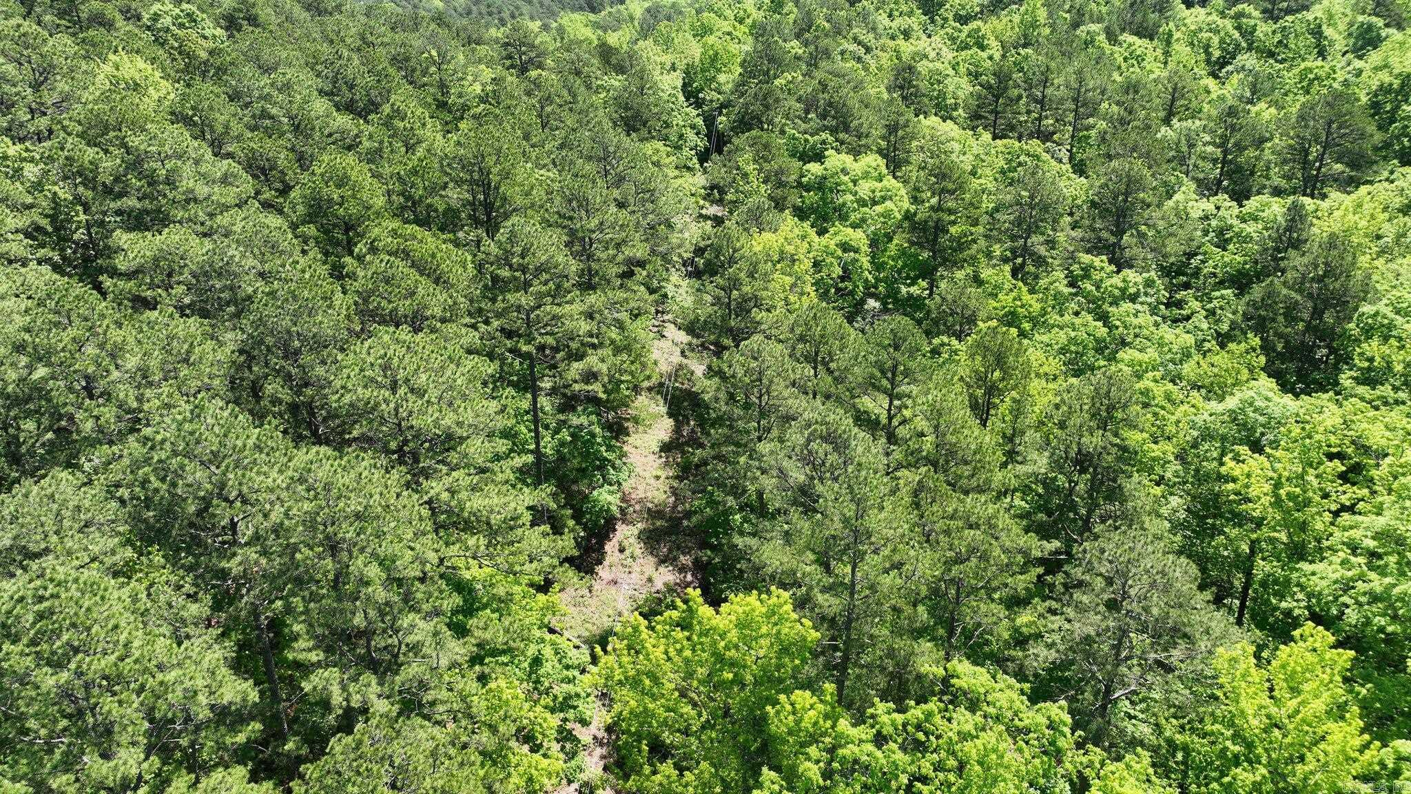 TBD (Lot 5)  Heather Lane  Mena, AR