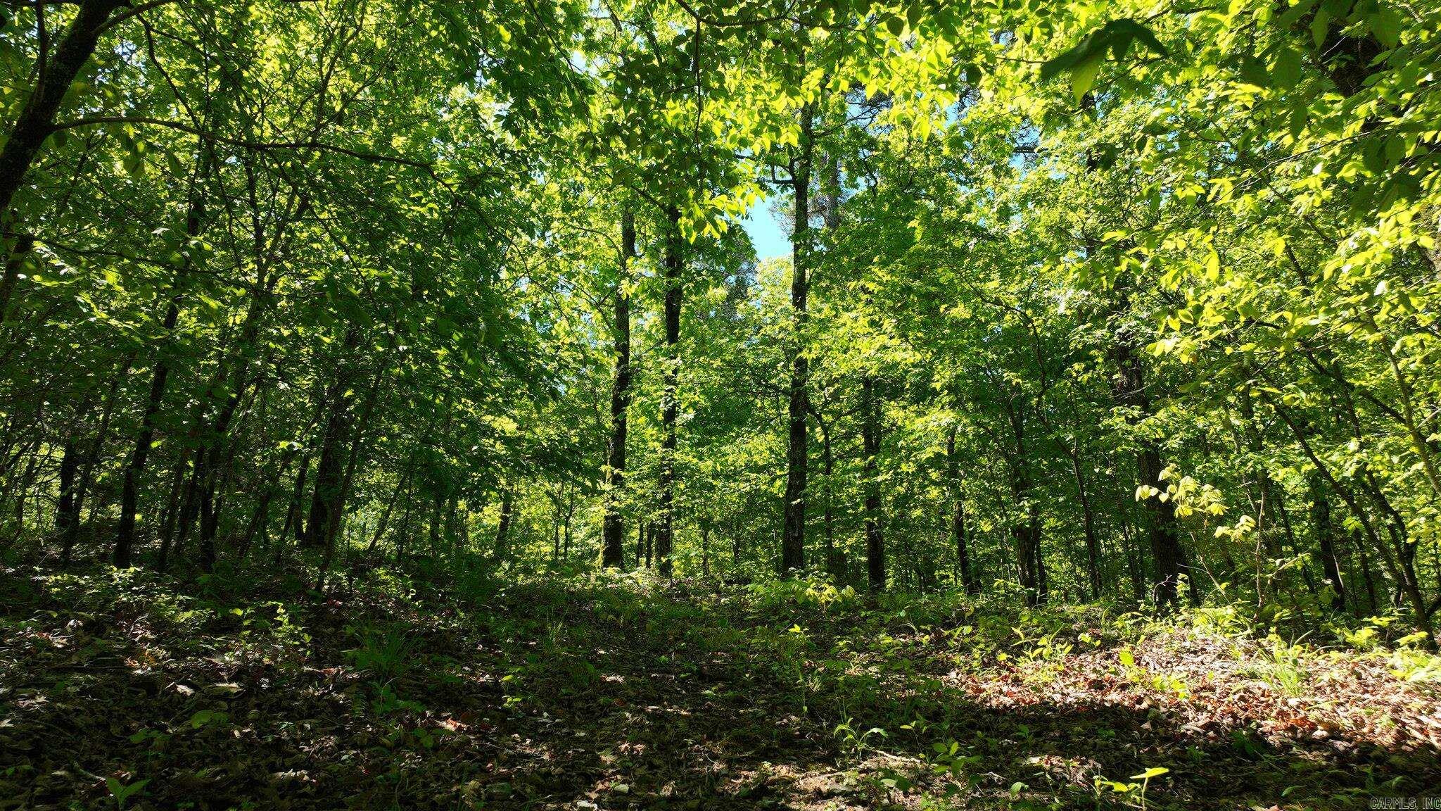TBD (Lot 5)  Heather Lane  Mena, AR