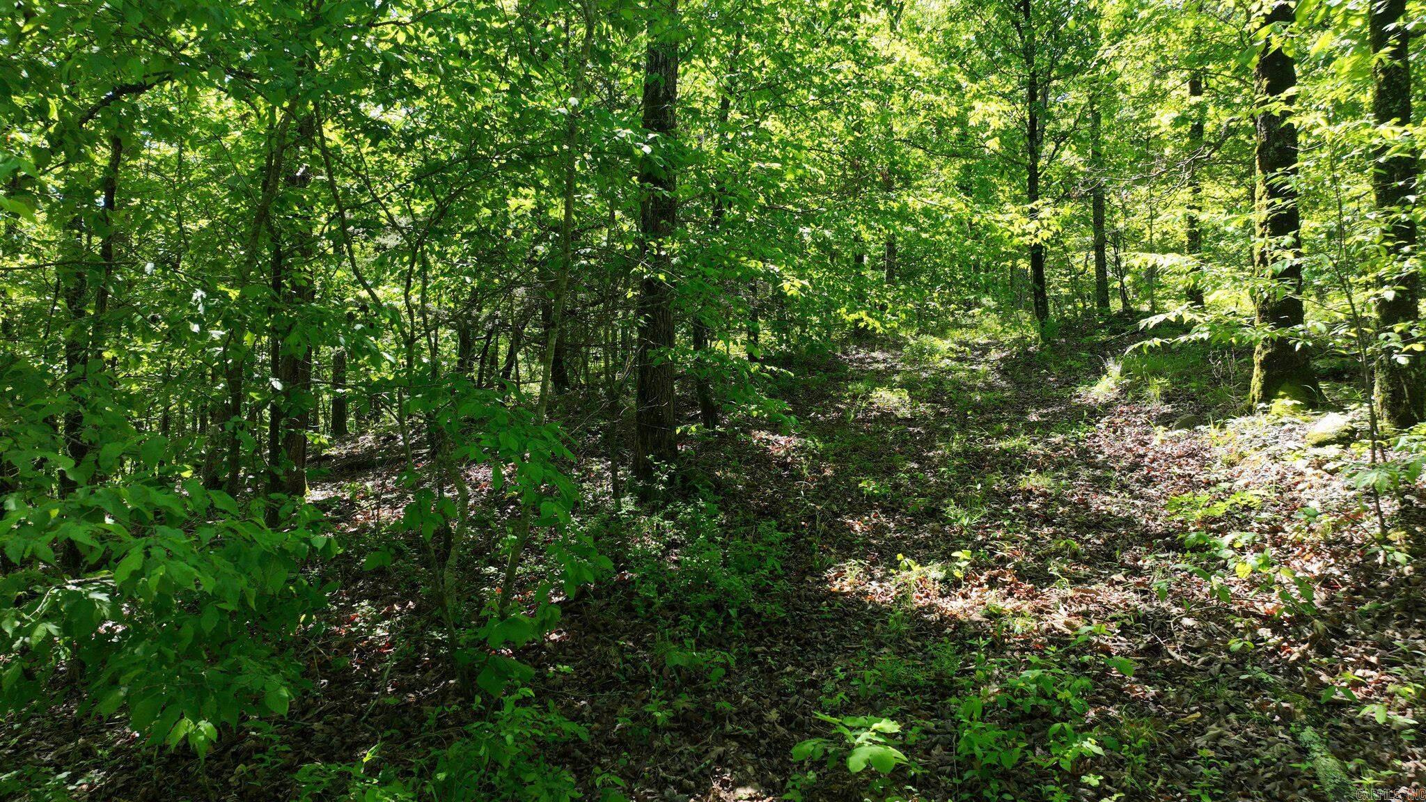 TBD (Lot 5)  Heather Lane  Mena, AR