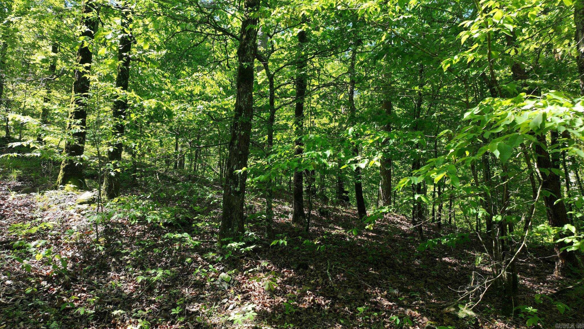 TBD (Lot 5)  Heather Lane  Mena, AR