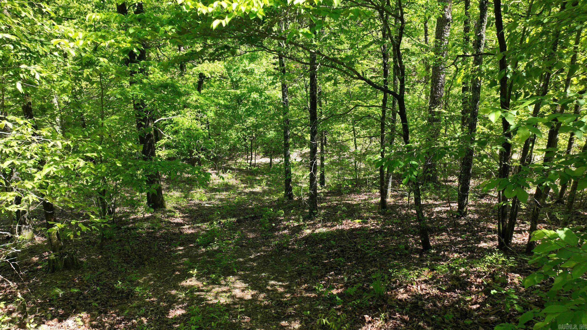TBD (Lot 5)  Heather Lane  Mena, AR