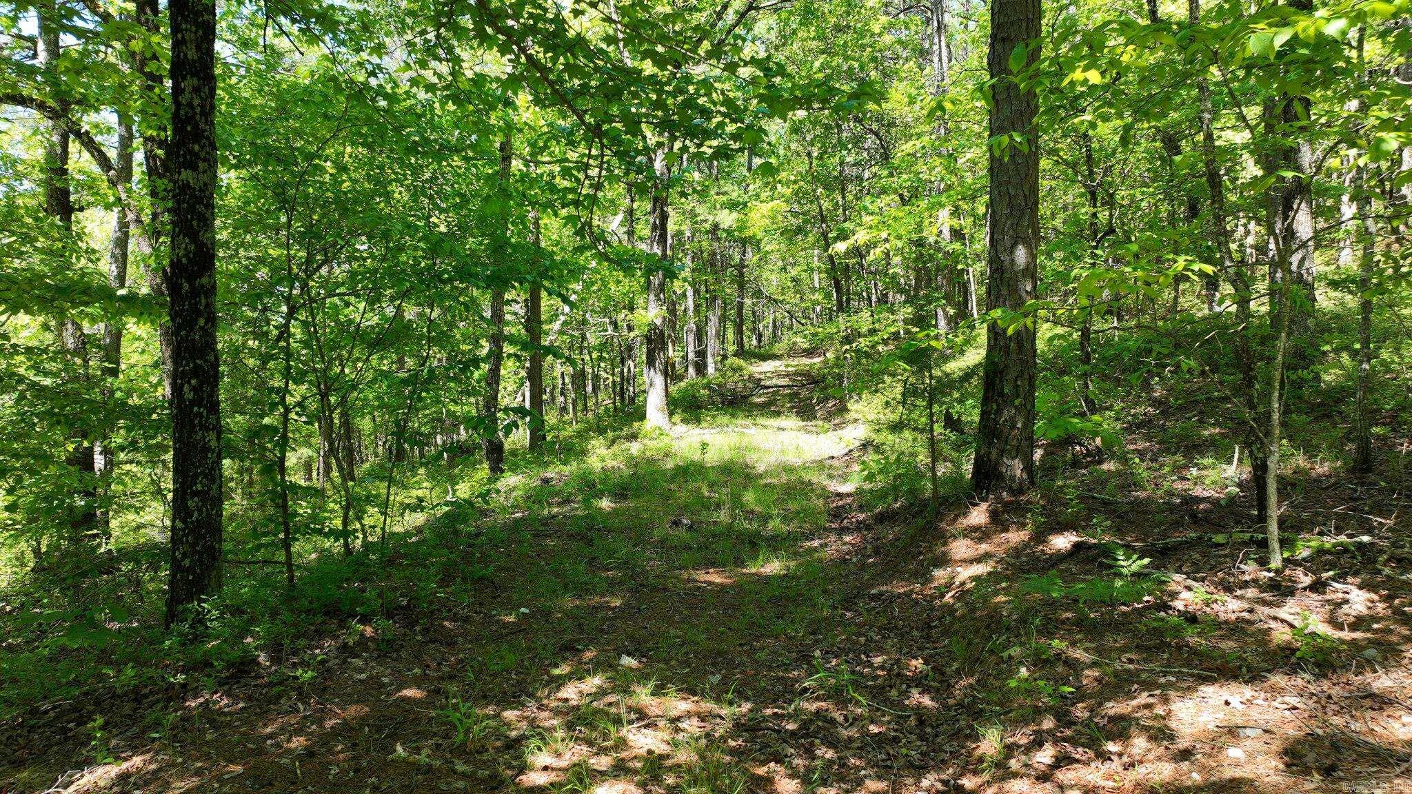 TBD (Lot 5)  Heather Lane  Mena, AR
