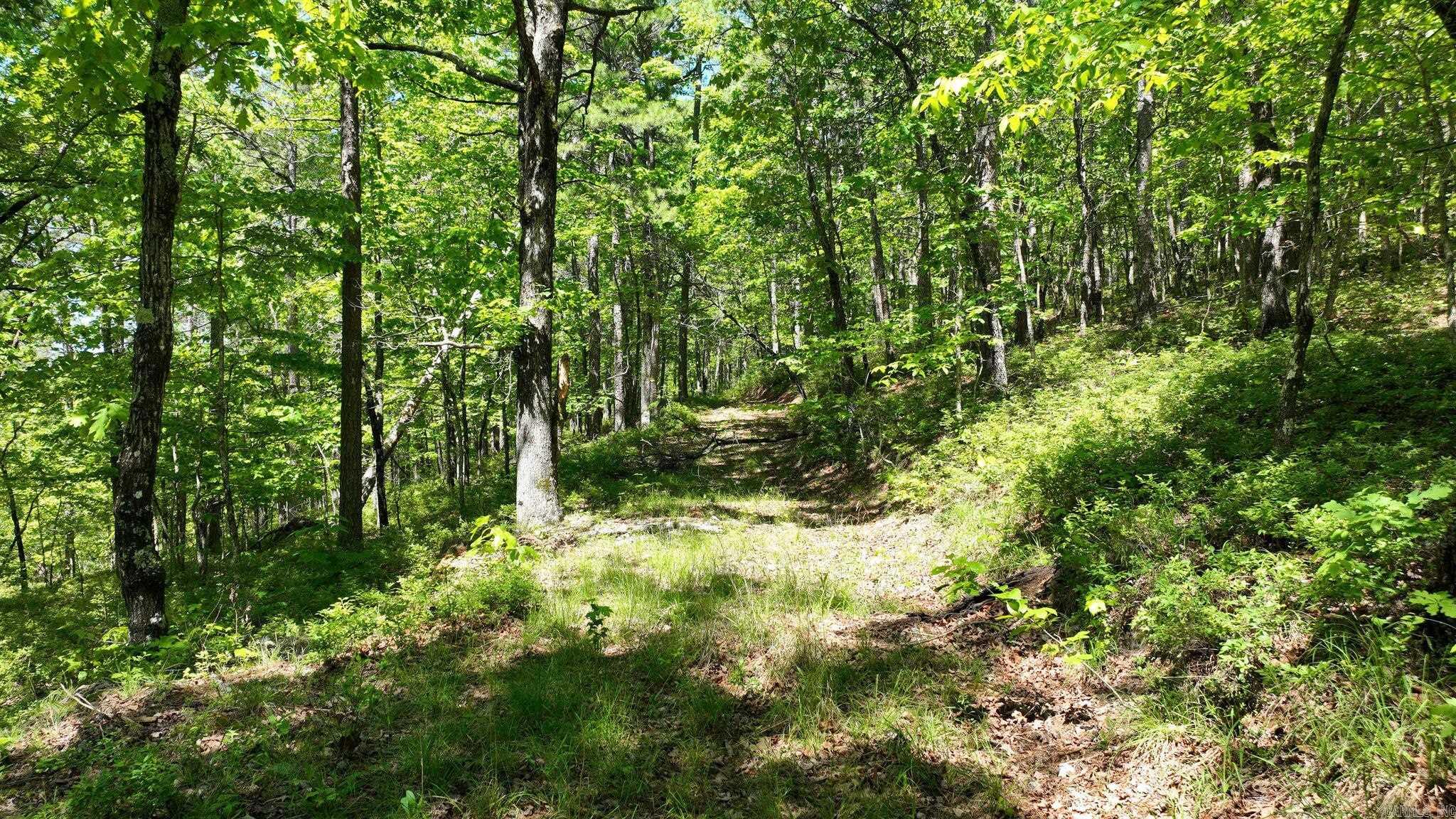 TBD (Lot 5)  Heather Lane  Mena, AR