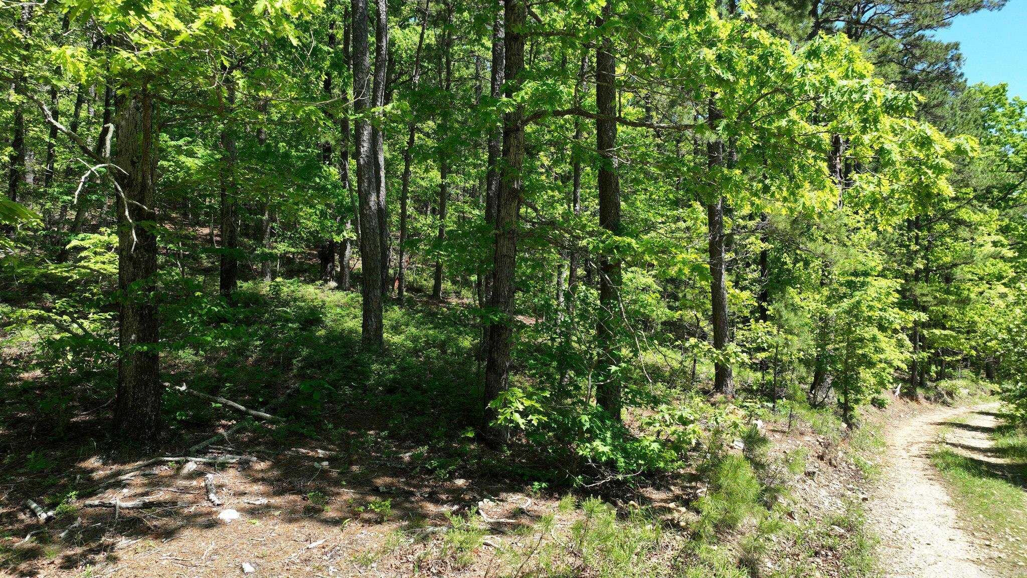 TBD (Lot 5)  Heather Lane  Mena, AR