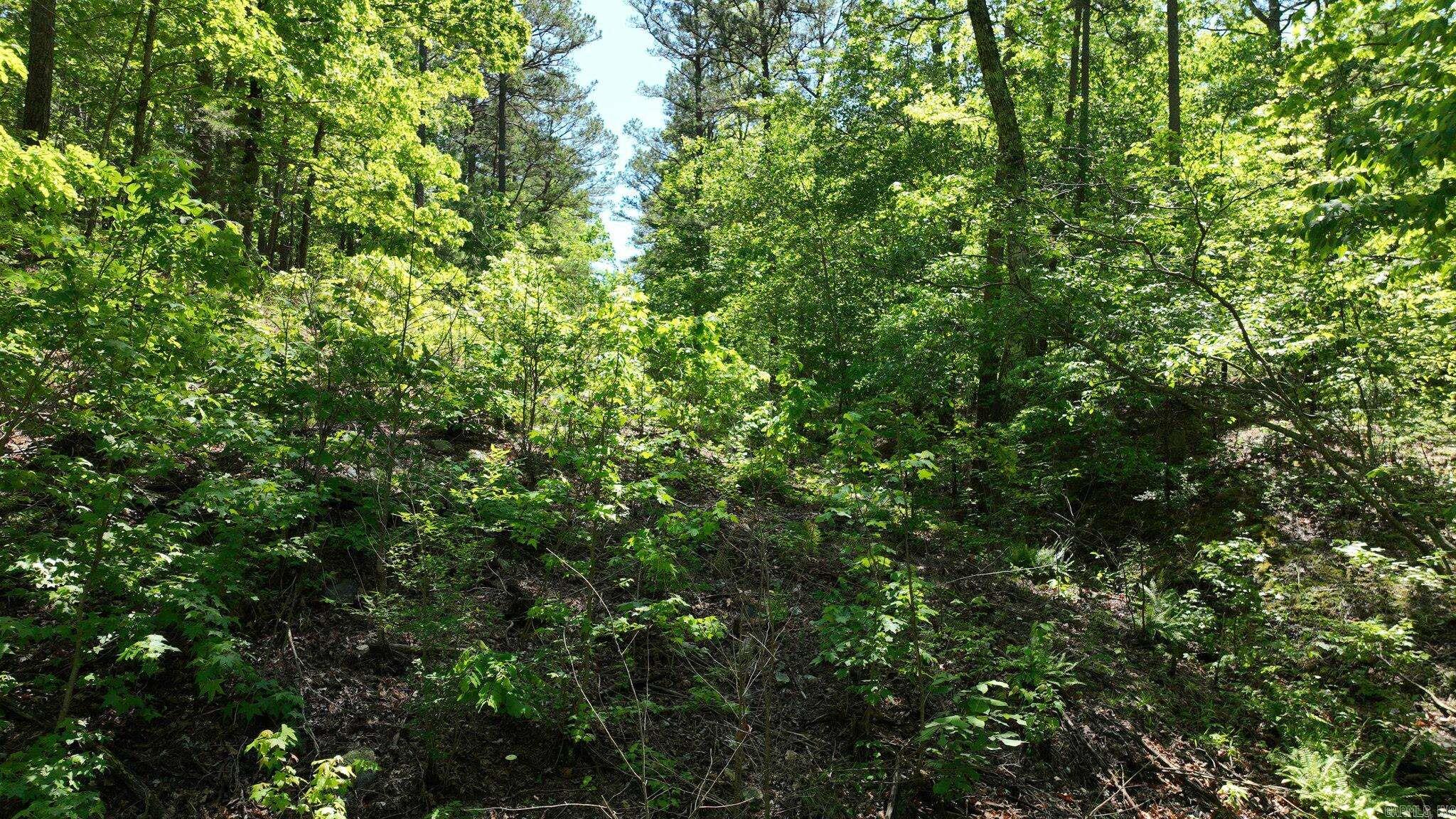 TBD (Lot 5)  Heather Lane  Mena, AR