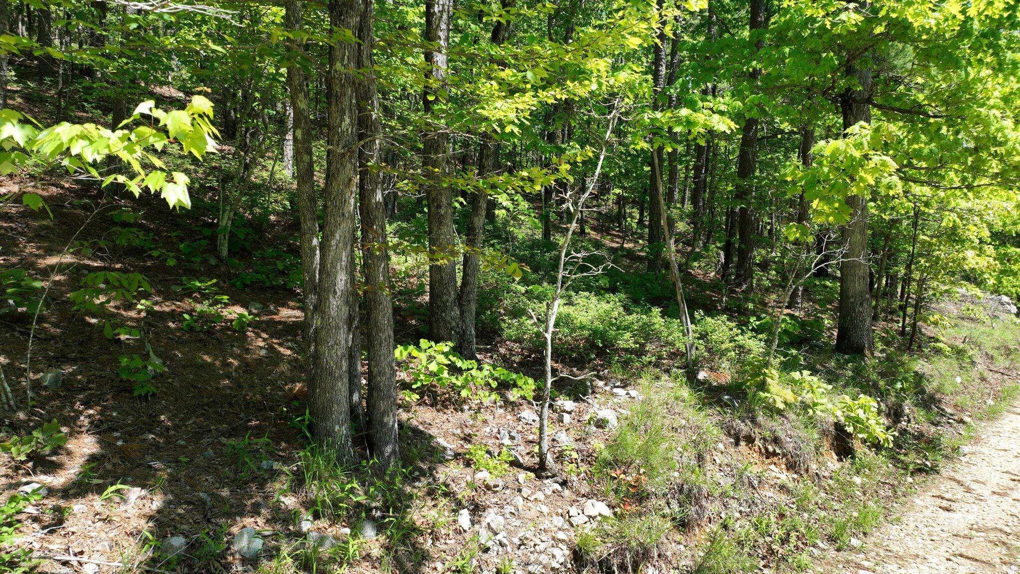 TBD (Lot 5)  Heather Lane  Mena, AR