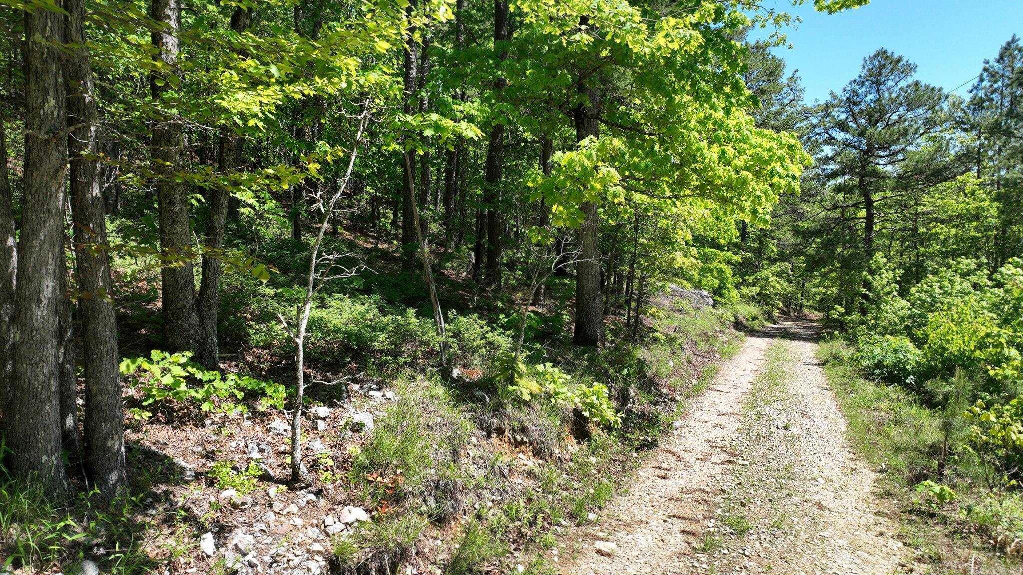 TBD (Lot 5)  Heather Lane  Mena, AR