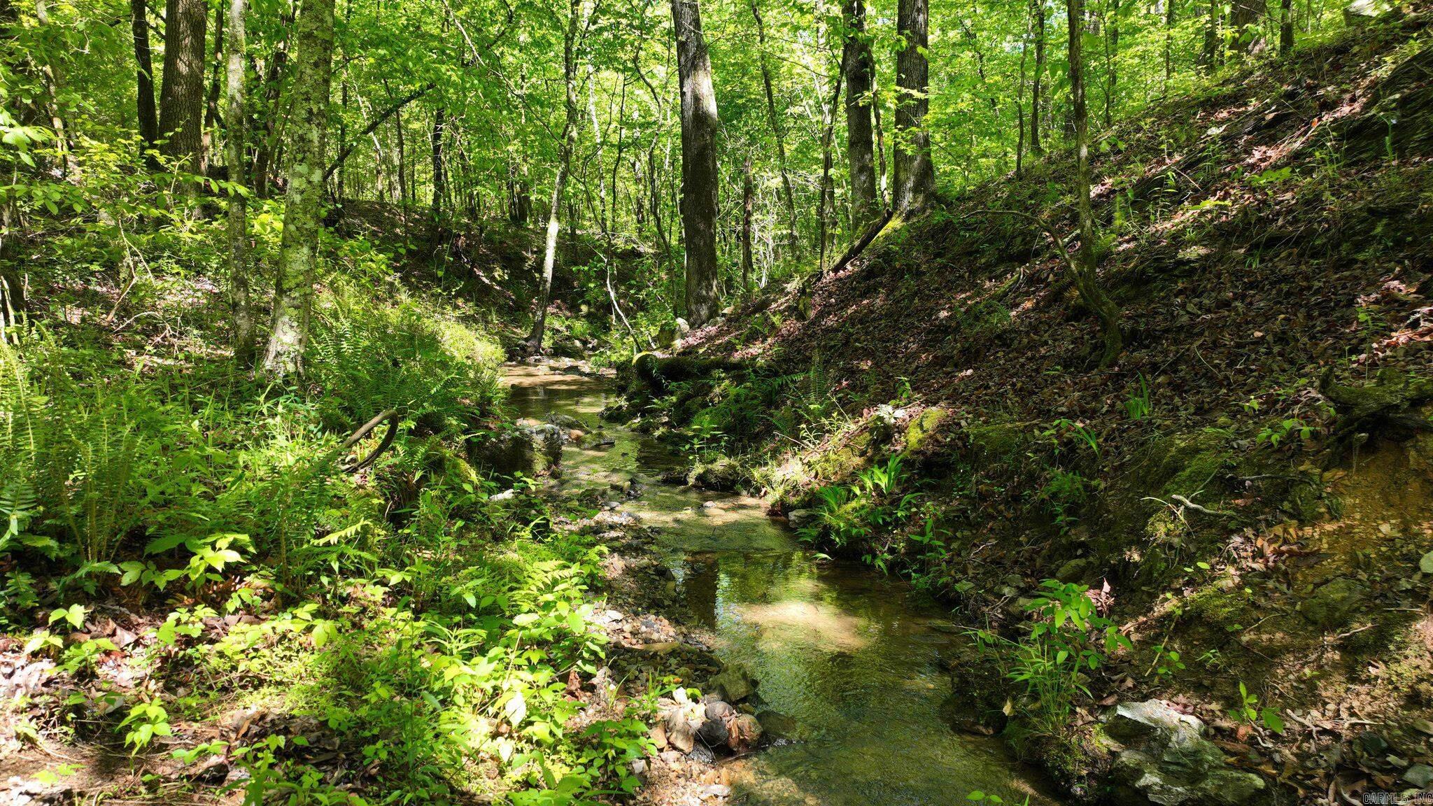 TBD (Lot 5)  Heather Lane  Mena, AR