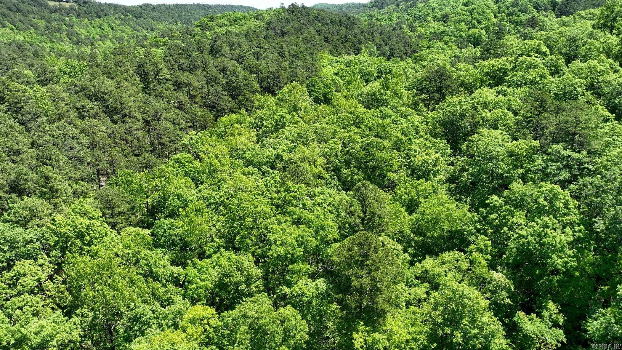TBD (Lot 7)  Heather Lane  Mena, AR
