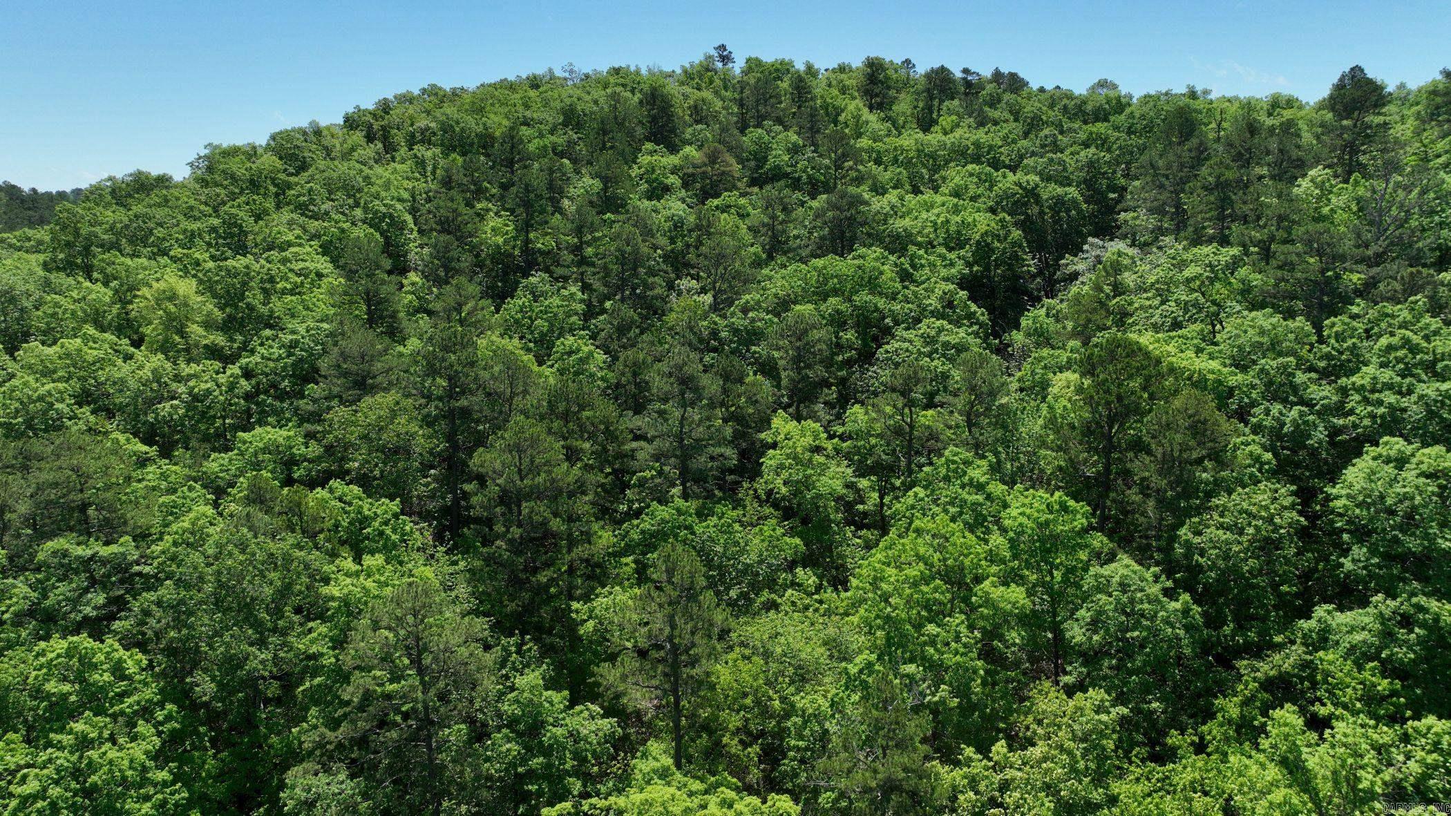 TBD (Lot 7)  Heather Lane  Mena, AR