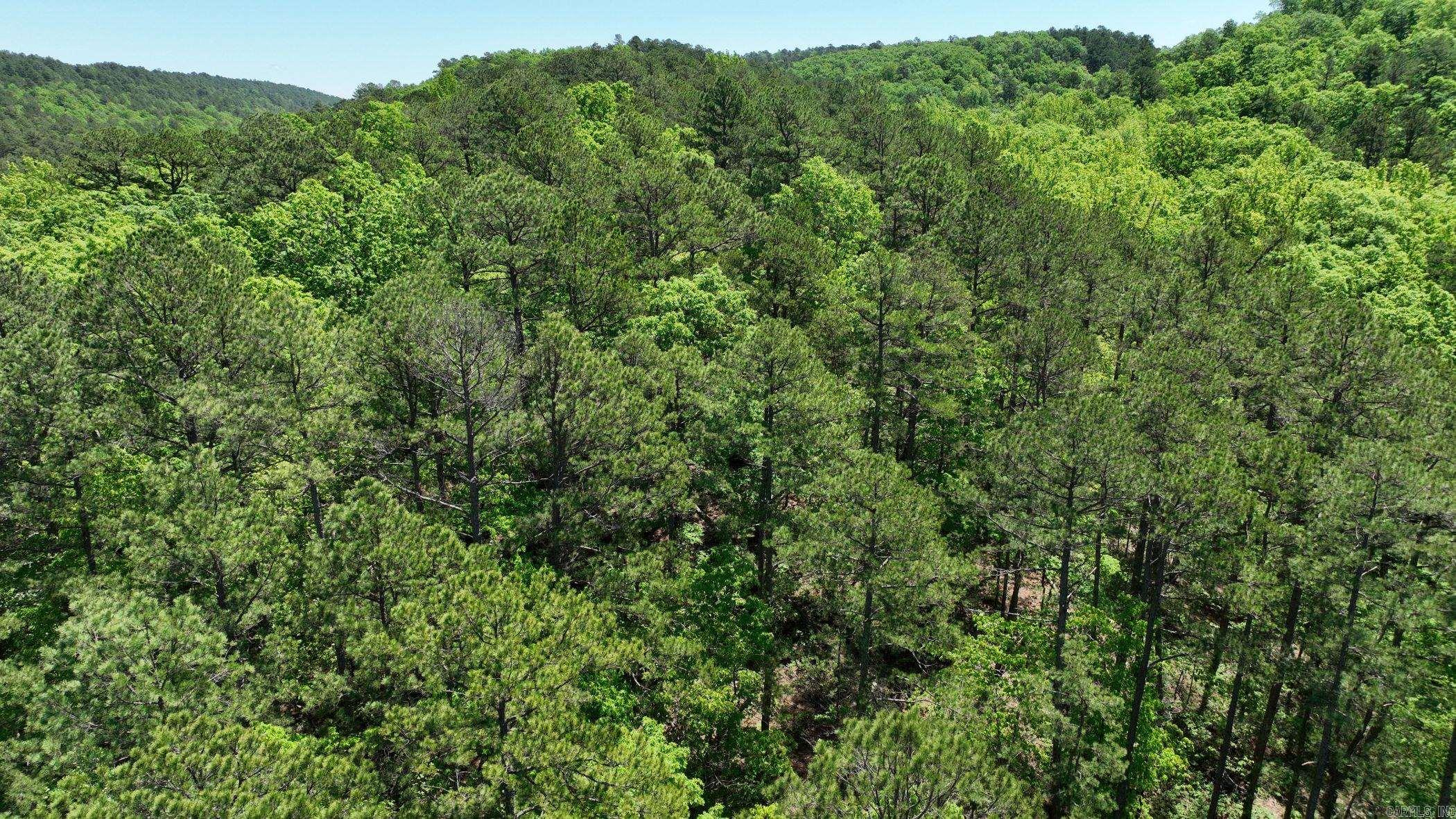 TBD (Lot 7)  Heather Lane  Mena, AR