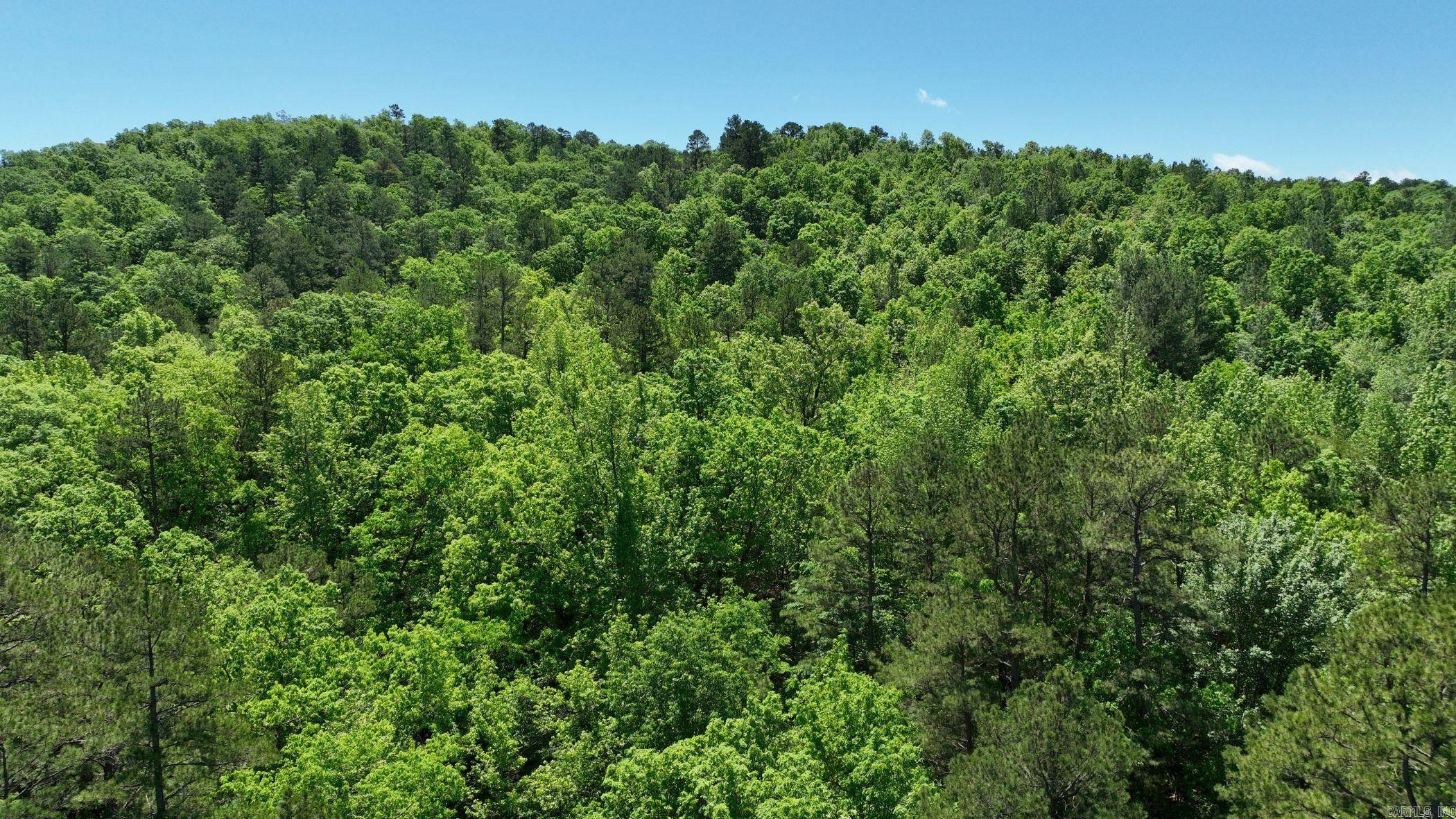 TBD (Lot 7)  Heather Lane  Mena, AR