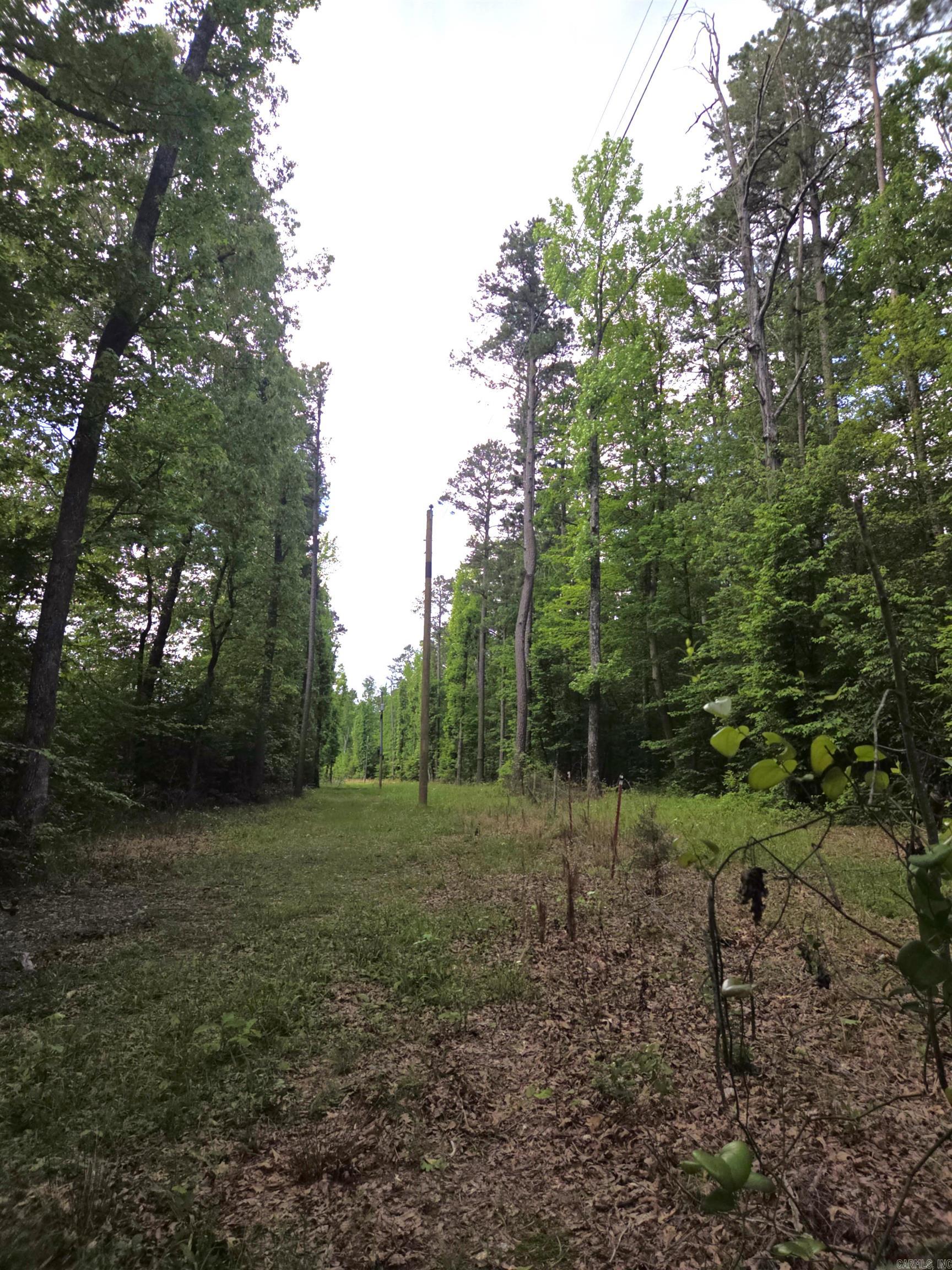 Tract 1  Kulp Road  Boles, AR