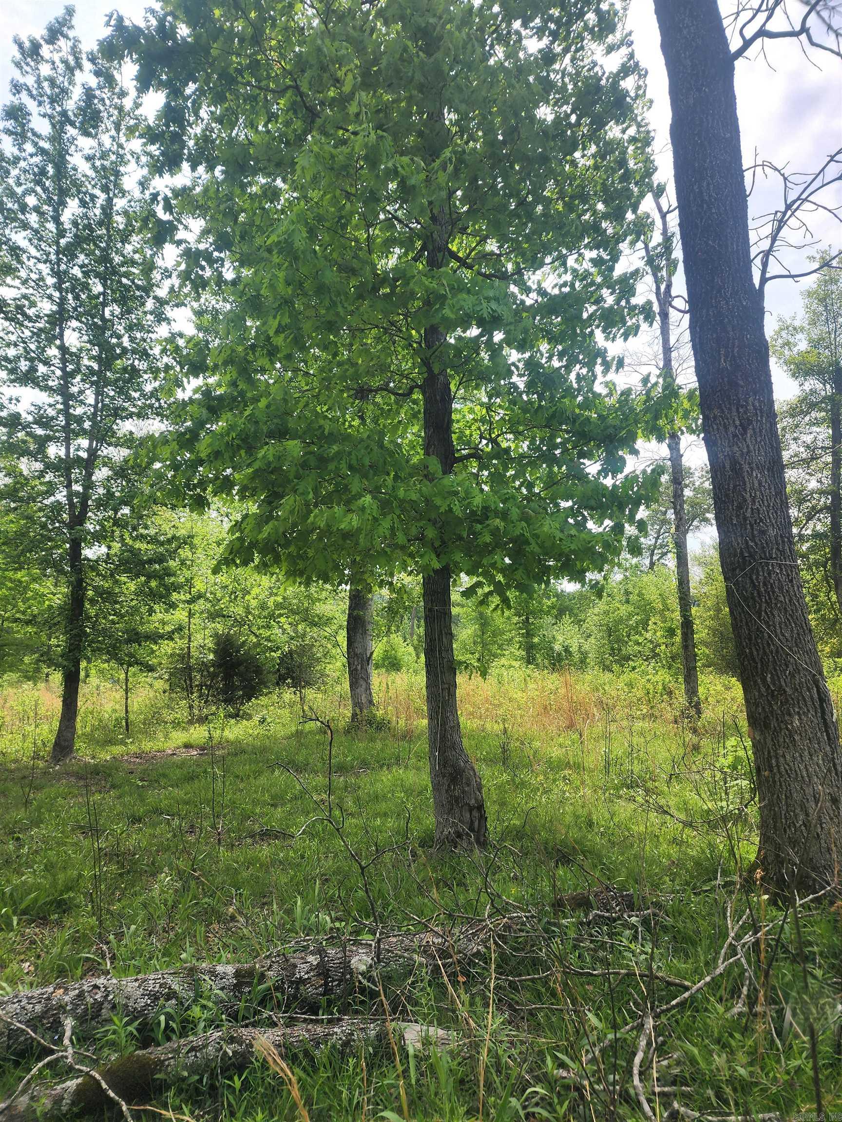 Tract 1  Kulp Road  Boles, AR