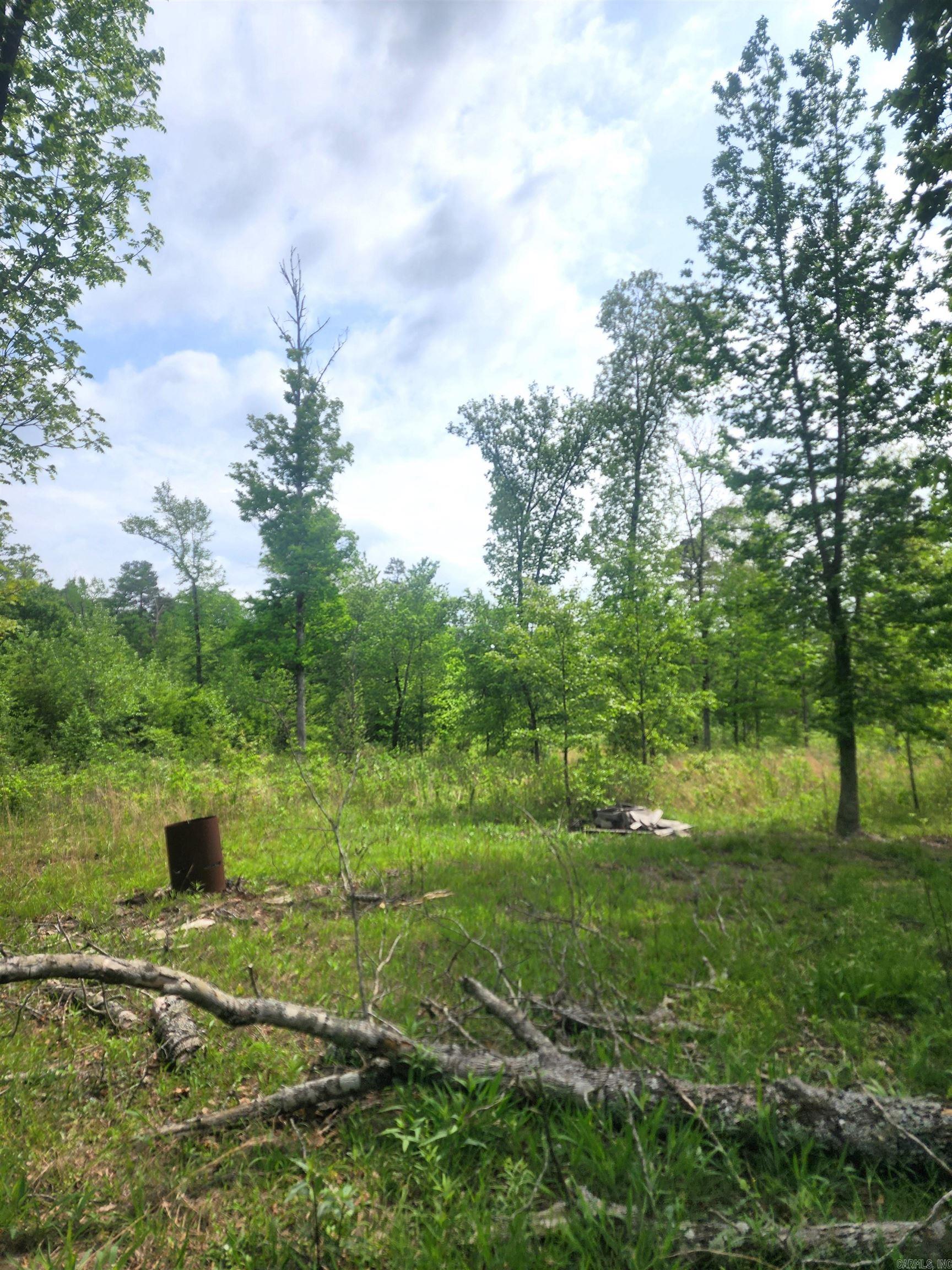 Tract 1  Kulp Road  Boles, AR