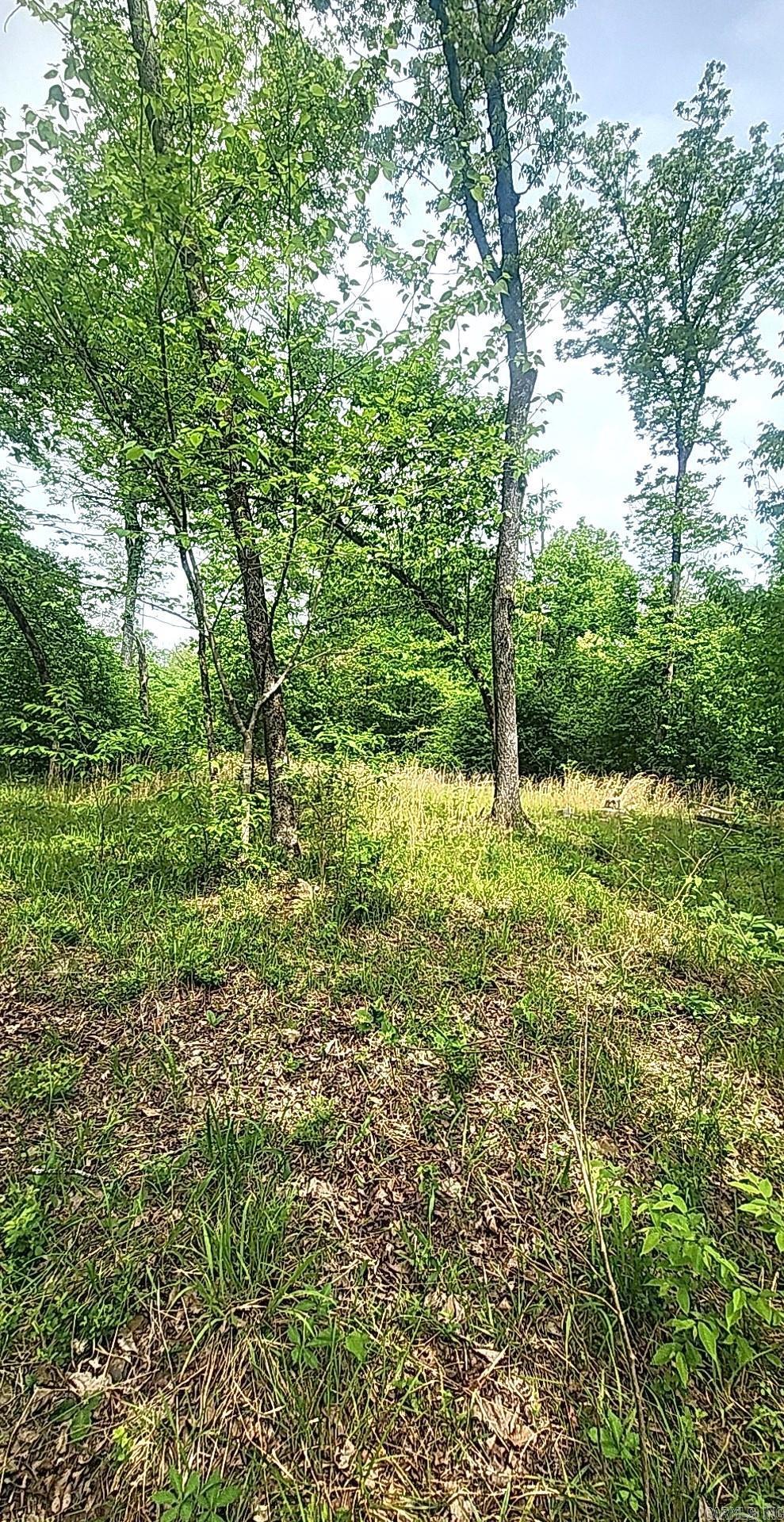 Tract 1  Kulp Road  Boles, AR