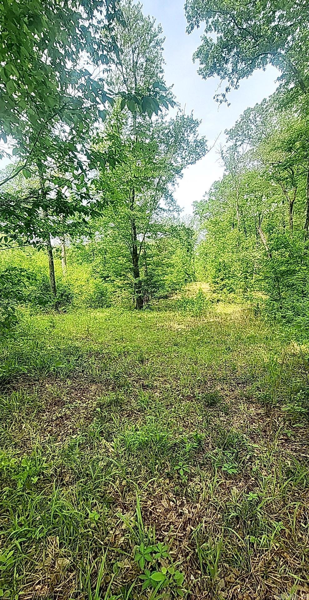 Tract 1  Kulp Road  Boles, AR
