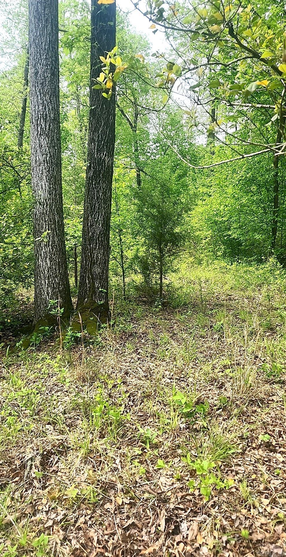 Tract 1  Kulp Road  Boles, AR