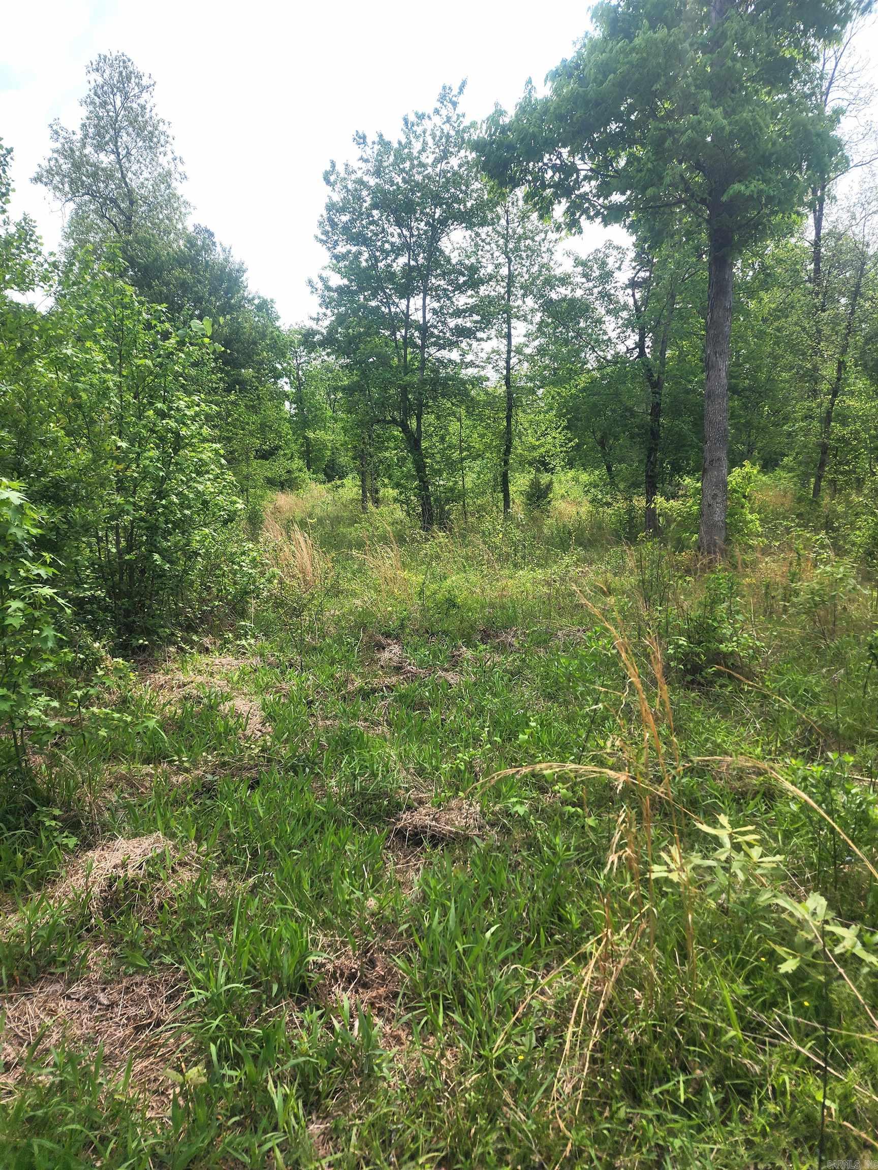 Tract 1  Kulp Road  Boles, AR