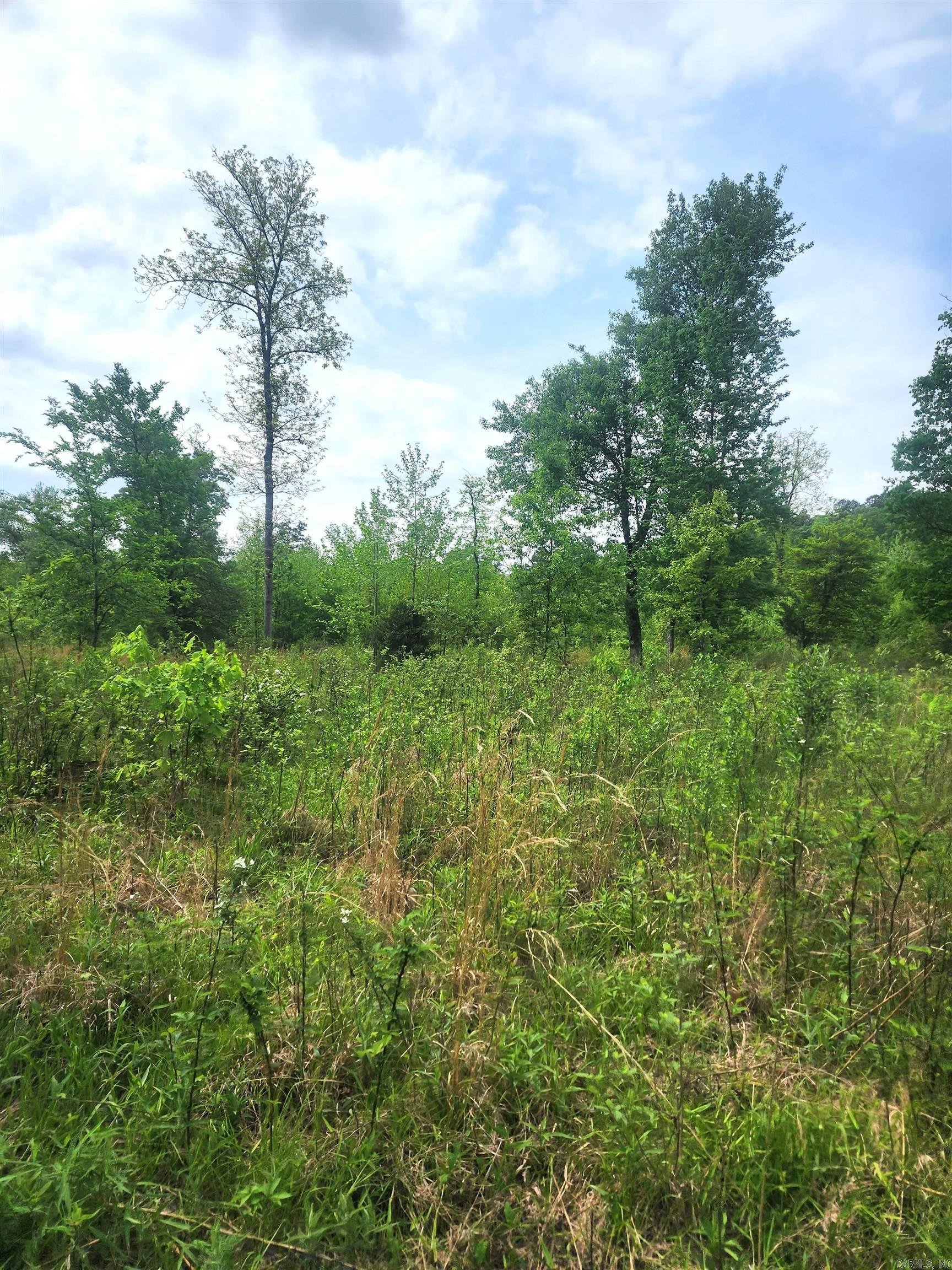 Tract 1  Kulp Road  Boles, AR