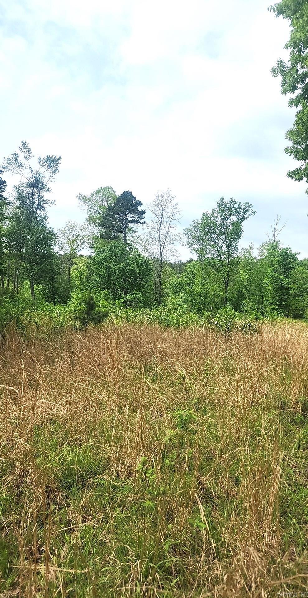 Tract 1  Kulp Road  Boles, AR