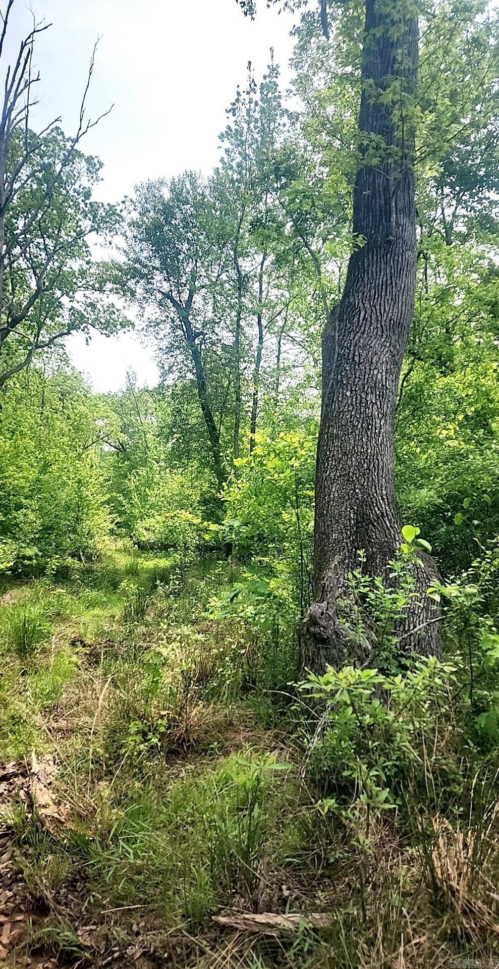 Tract 1  Kulp Road  Boles, AR