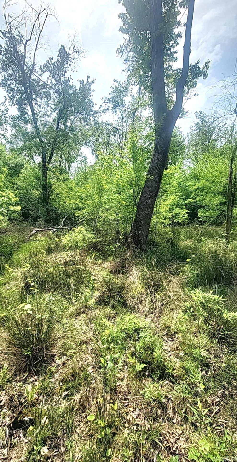 Tract 1  Kulp Road  Boles, AR