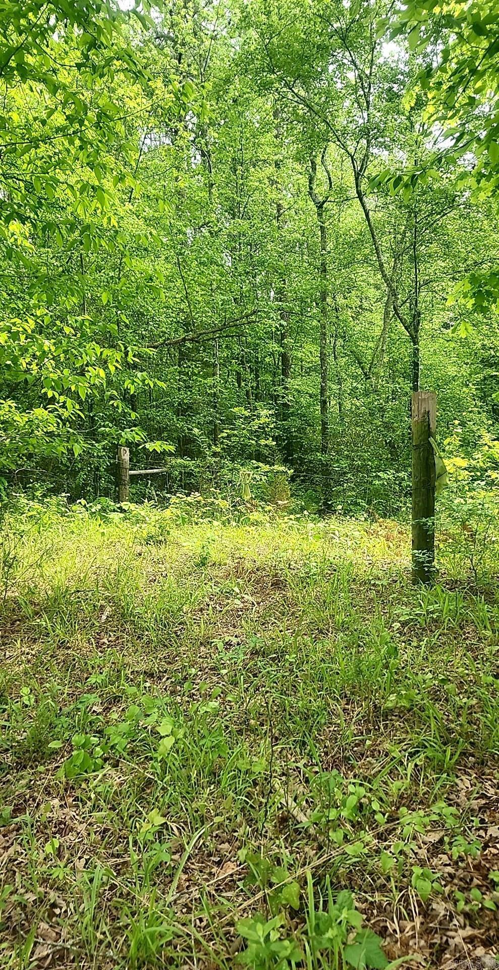 Tract 1  Kulp Road  Boles, AR
