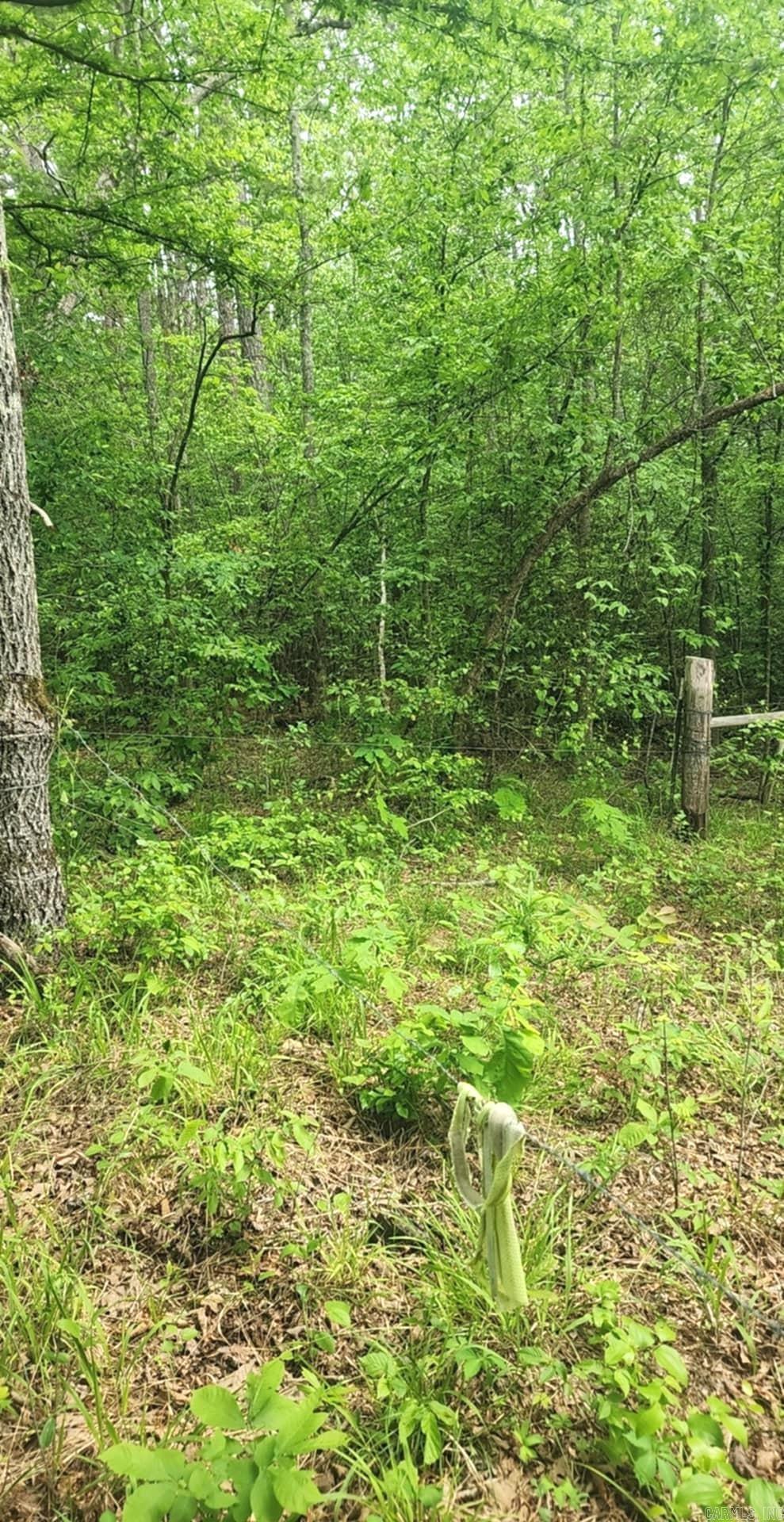 Tract 1  Kulp Road  Boles, AR