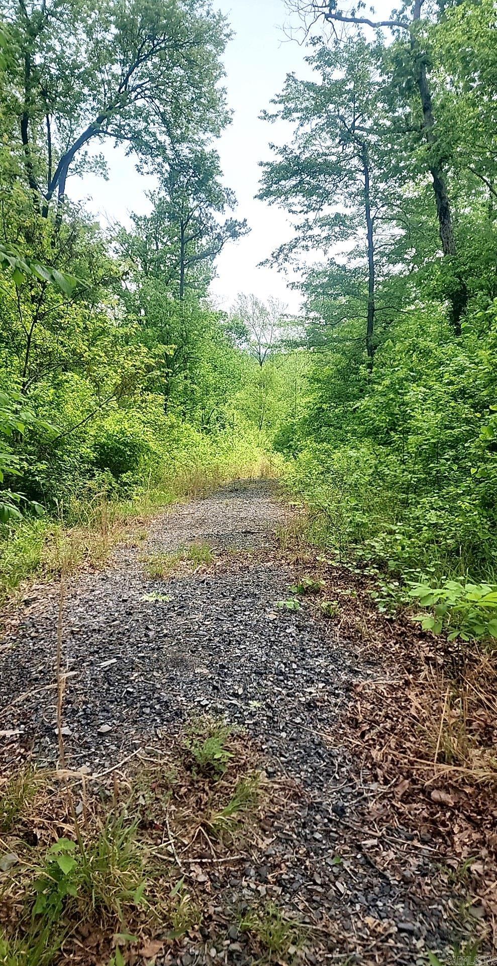 Tract 1  Kulp Road  Boles, AR