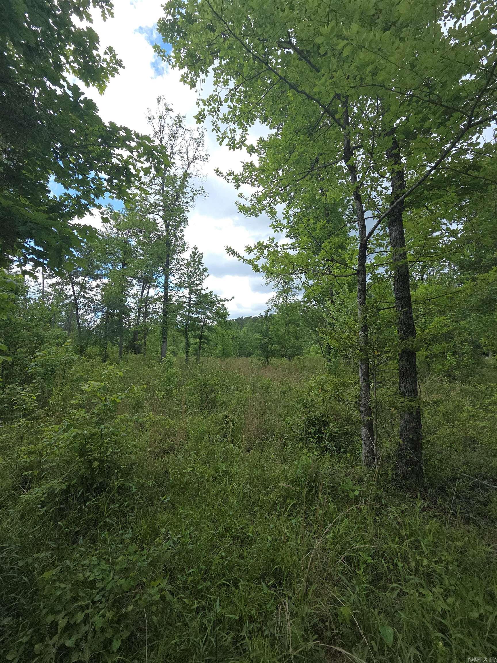Tract 1  Kulp Road  Boles, AR