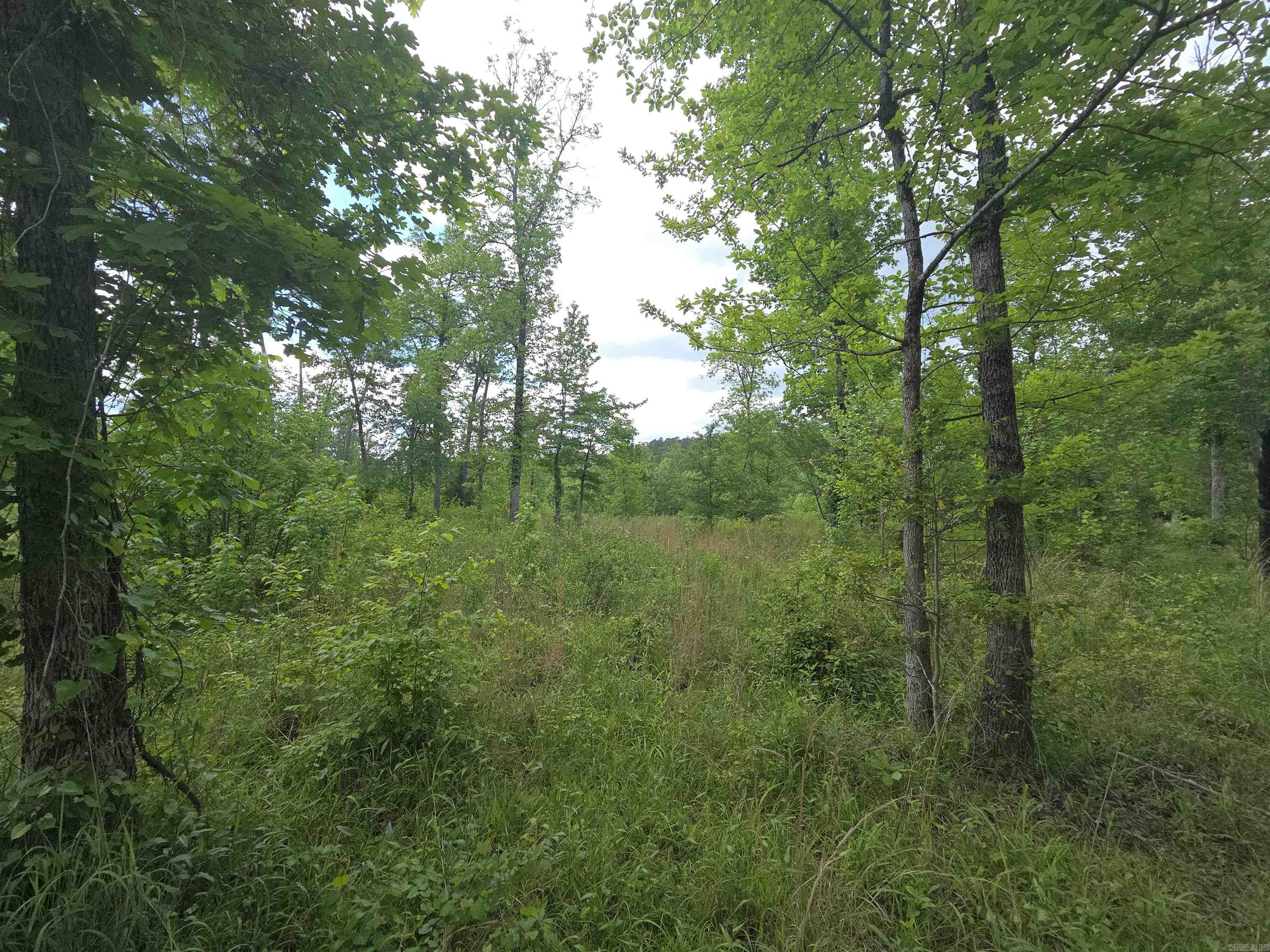 Tract 1  Kulp Road  Boles, AR