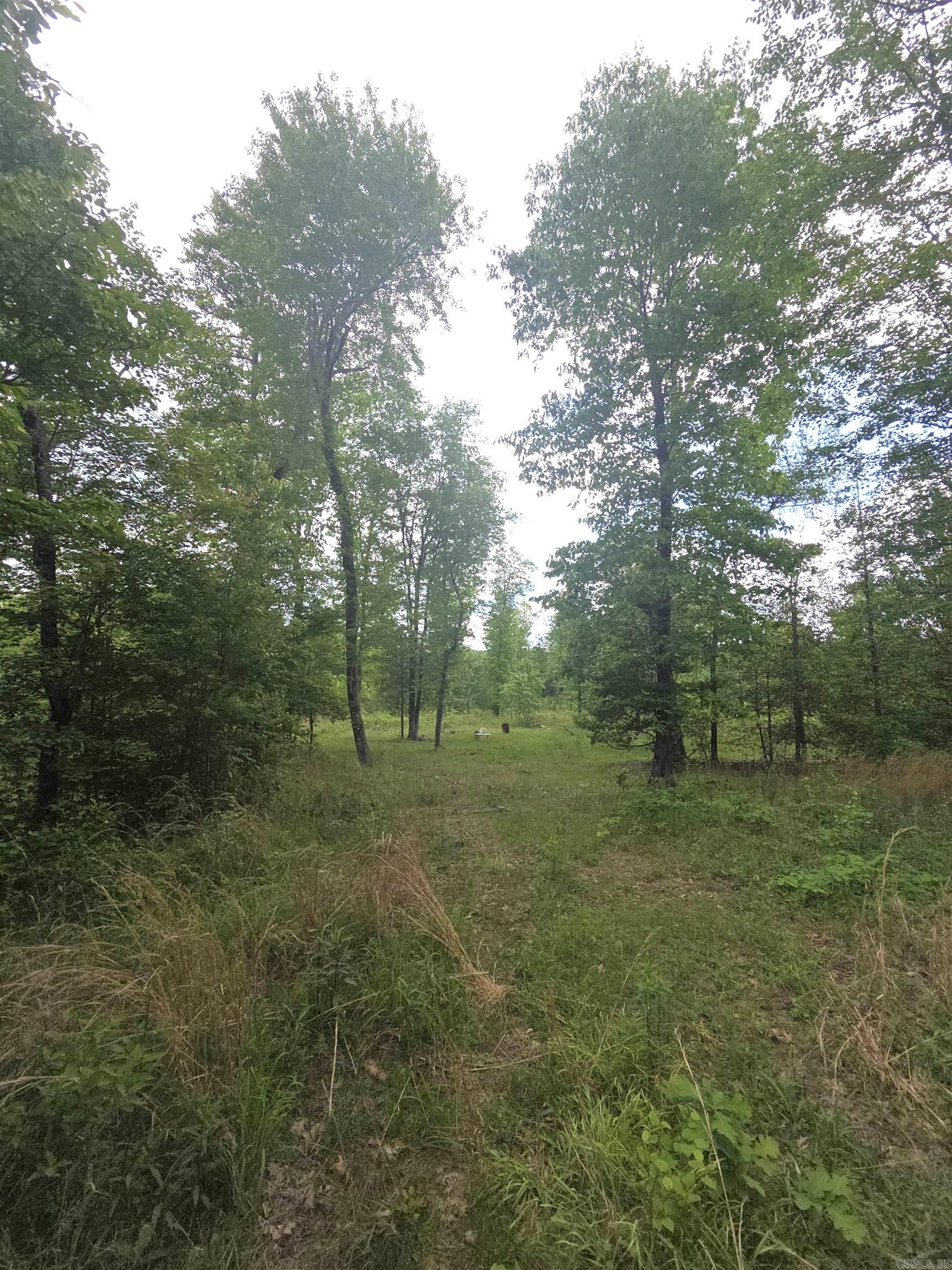 Tract 1  Kulp Road  Boles, AR