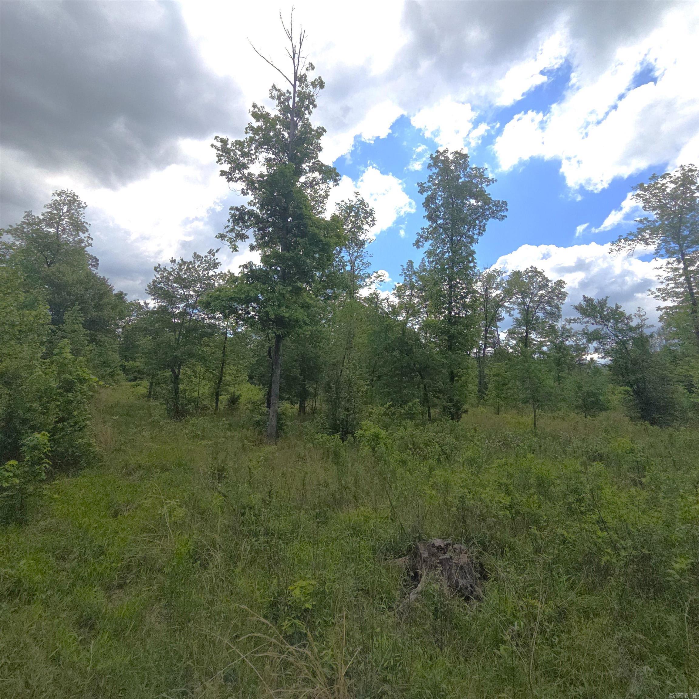 Tract 1  Kulp Road  Boles, AR