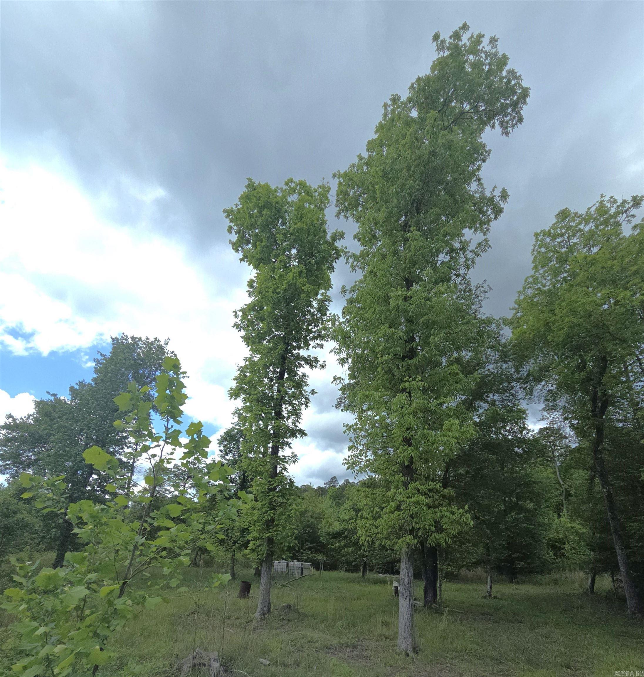 Tract 1  Kulp Road  Boles, AR