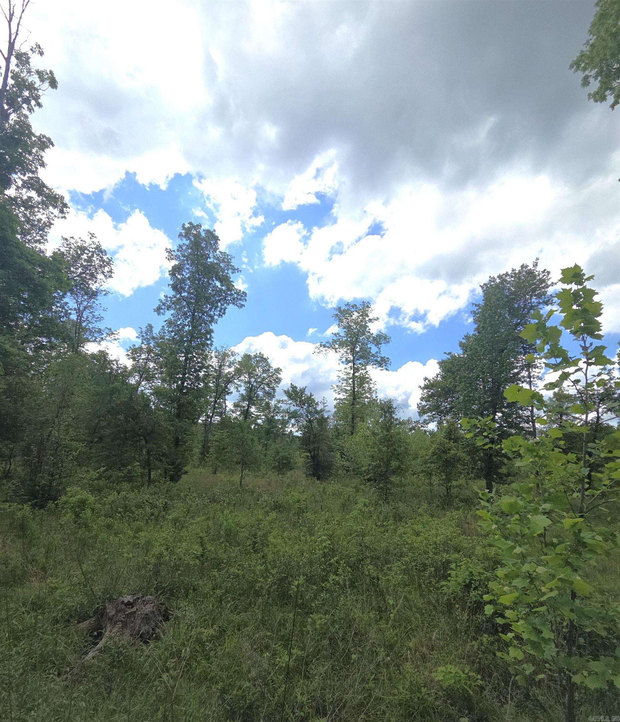 Tract 1  Kulp Road  Boles, AR
