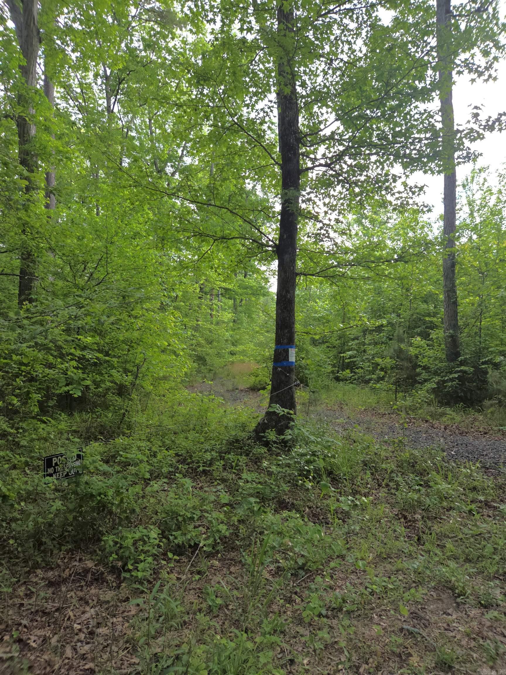 Tract 1  Kulp Road  Boles, AR