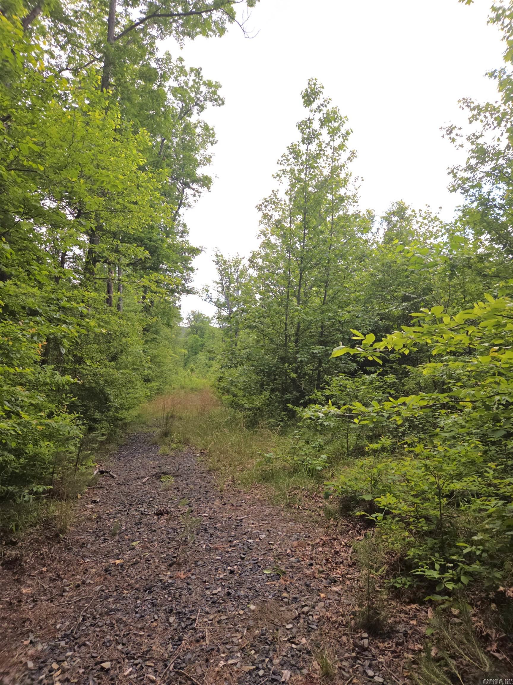 Tract 1  Kulp Road  Boles, AR