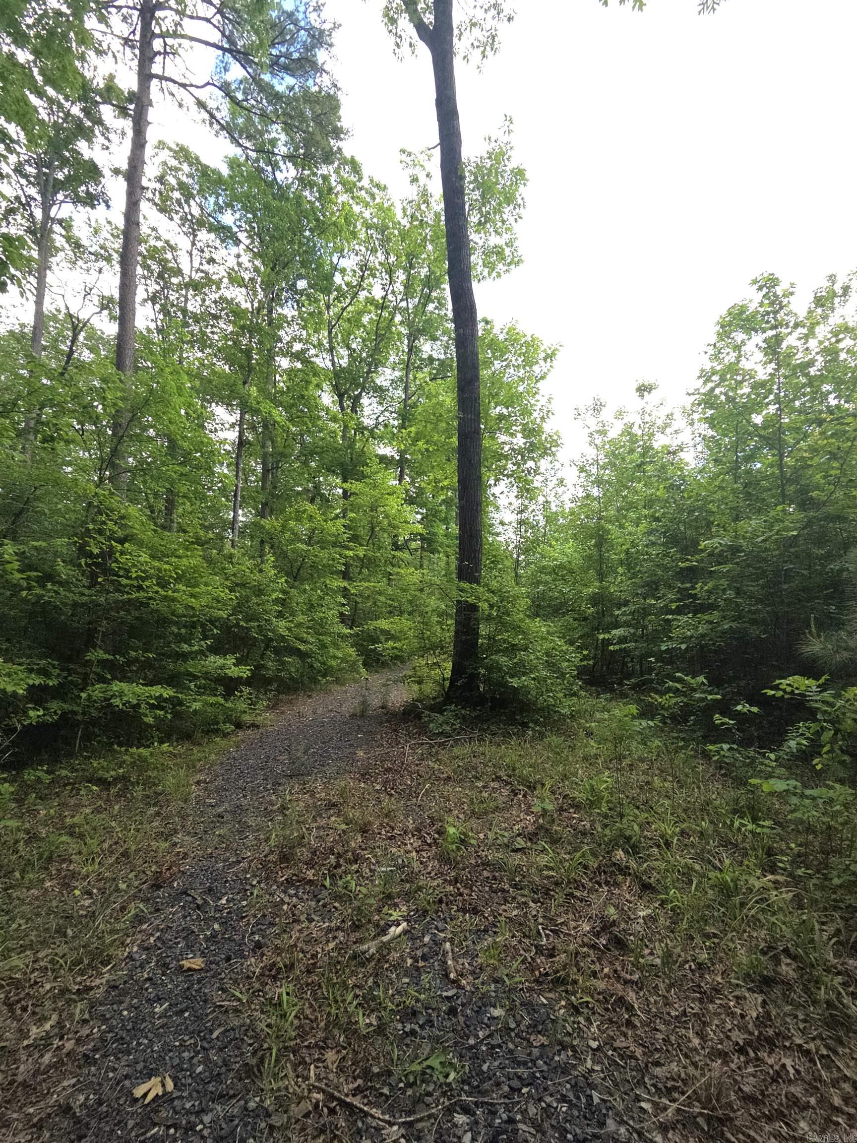 Tract 1  Kulp Road  Boles, AR