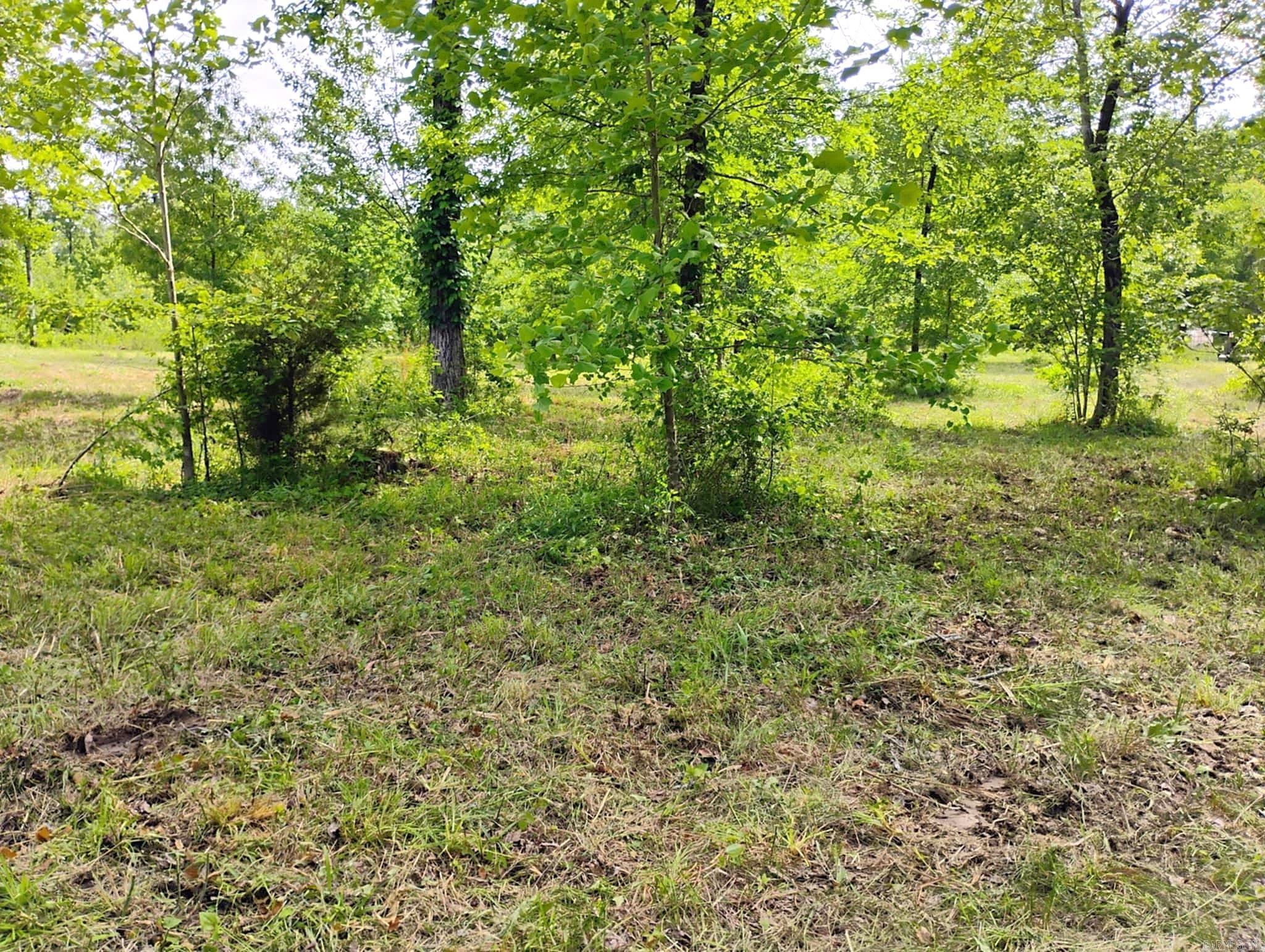 Tract 1  Kulp Road  Boles, AR